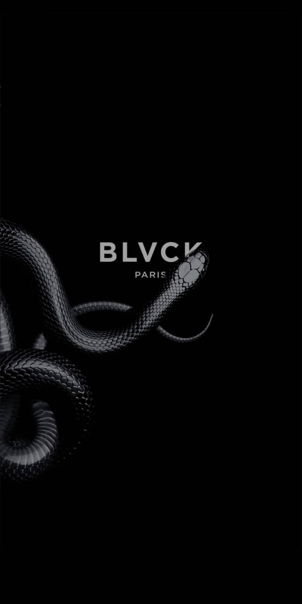 Unparalleled Fashion And Streetwear For The Young Urbanites At Blvck Paris Background