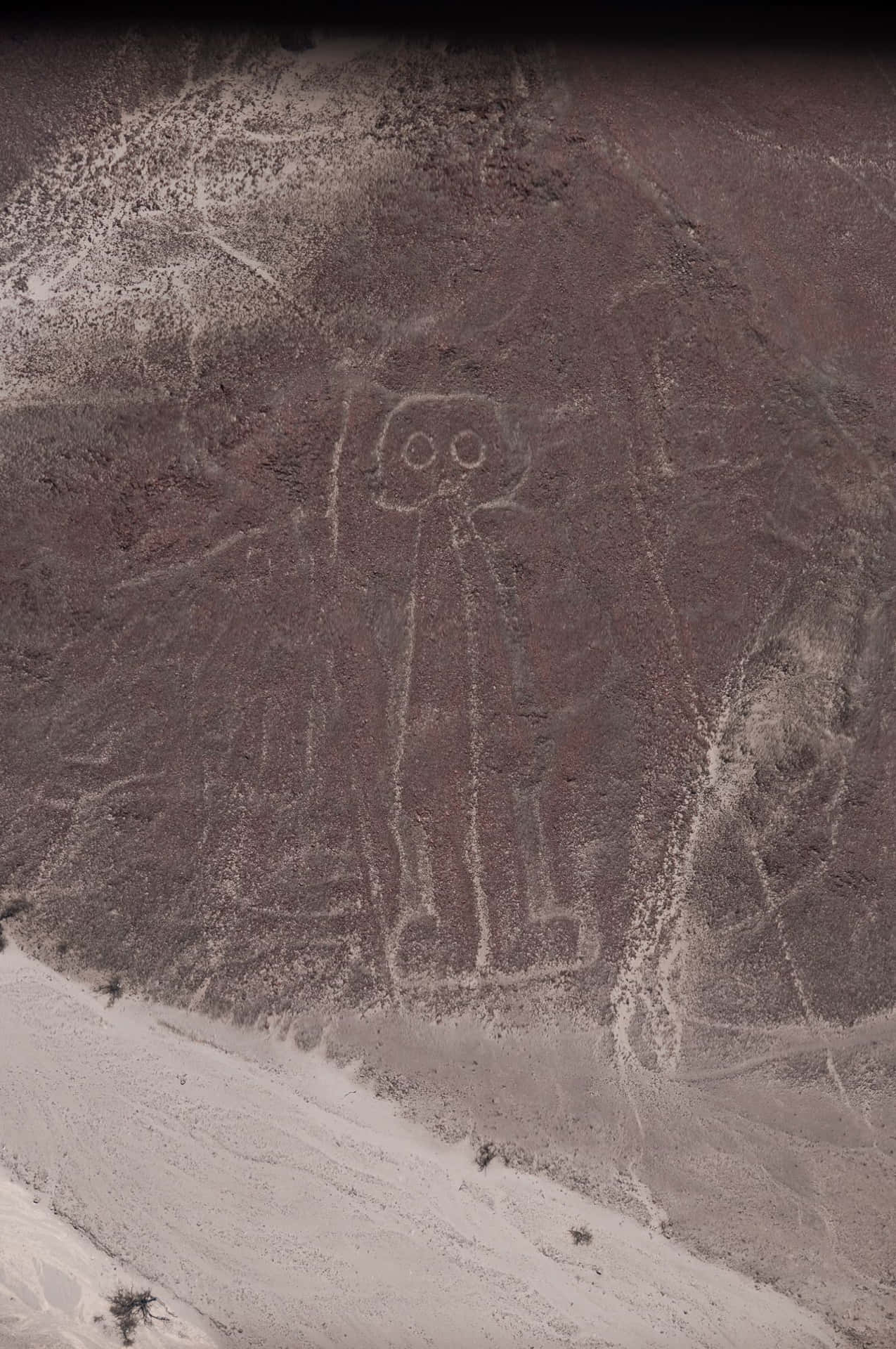 Unraveling The Enigma Of The Ancient Nazca Lines Background