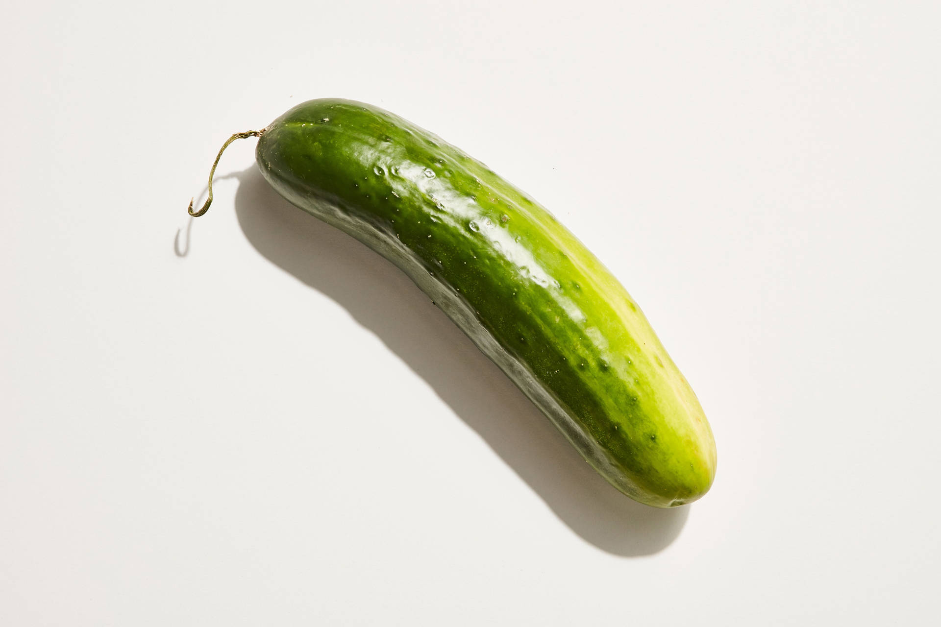 Unripe Gherkin