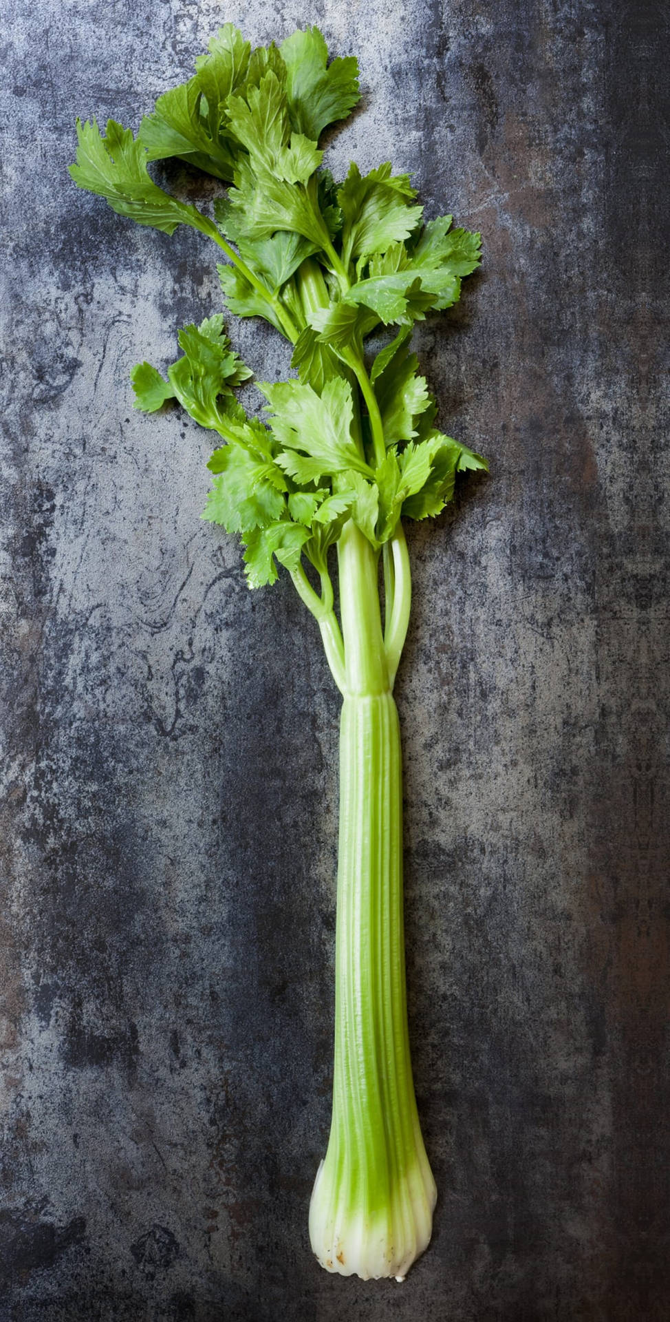 Unusual Textured Celery Stalk Background