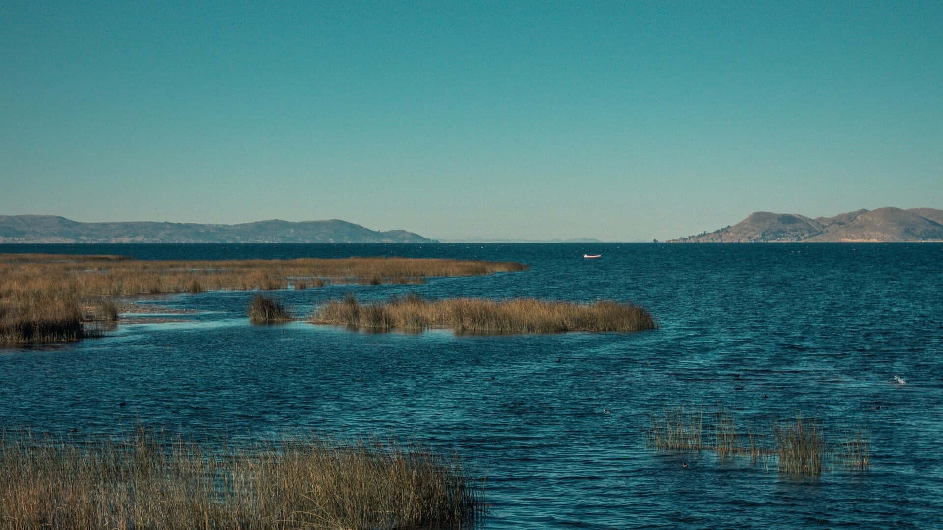 Unveiling Rich Inca Heritage At Lake Titicaca Background