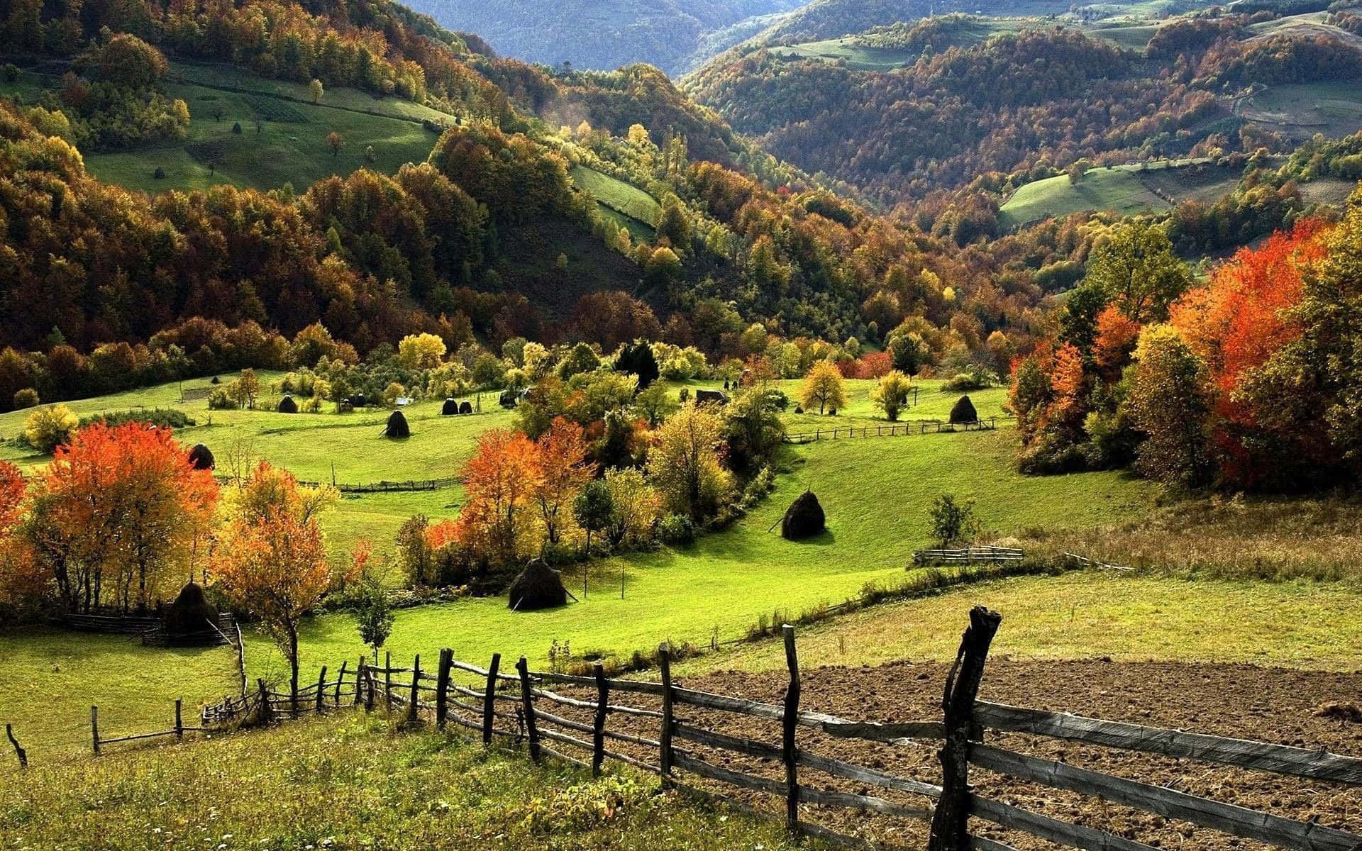 Unwind In The Serene Autumnal Haven, Zlatibor Serbia