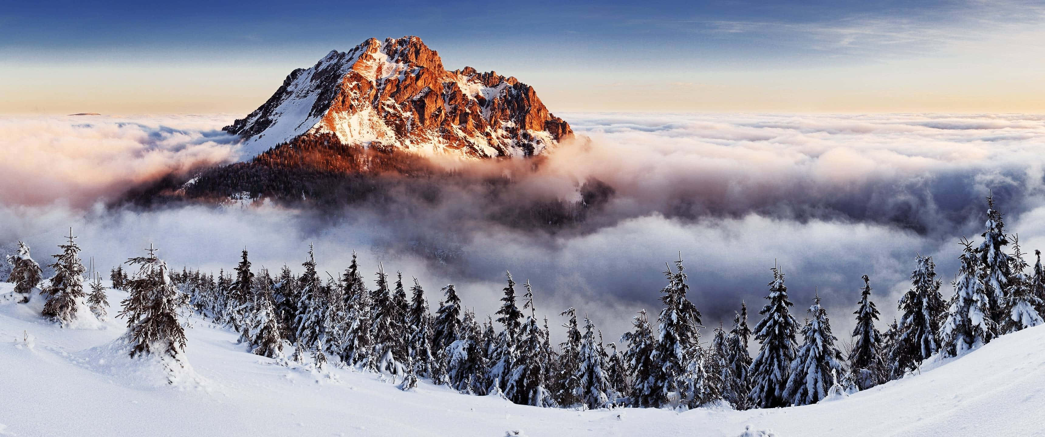 Unwind With Nature's Beauty In This 4k Wallpaper Background
