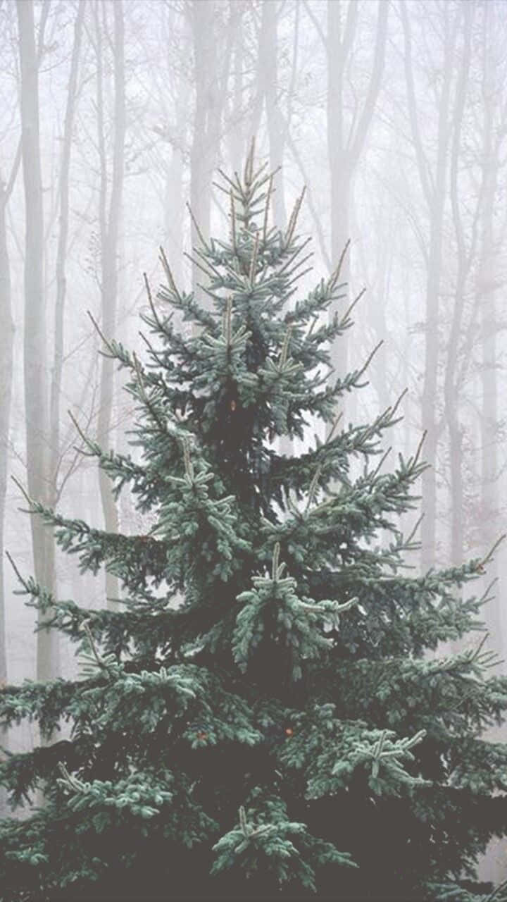 Unwrap The Gift Of Joy This Holiday Season! Background
