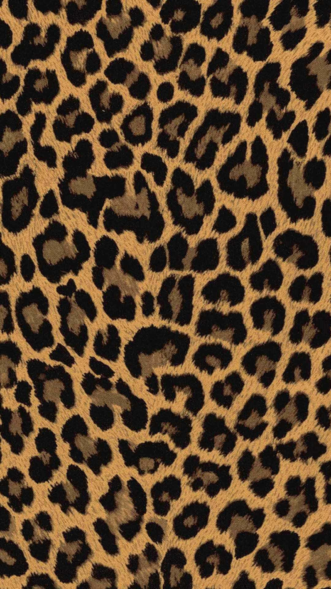 Upgrade To Animal Print With The Latest Iphone Background