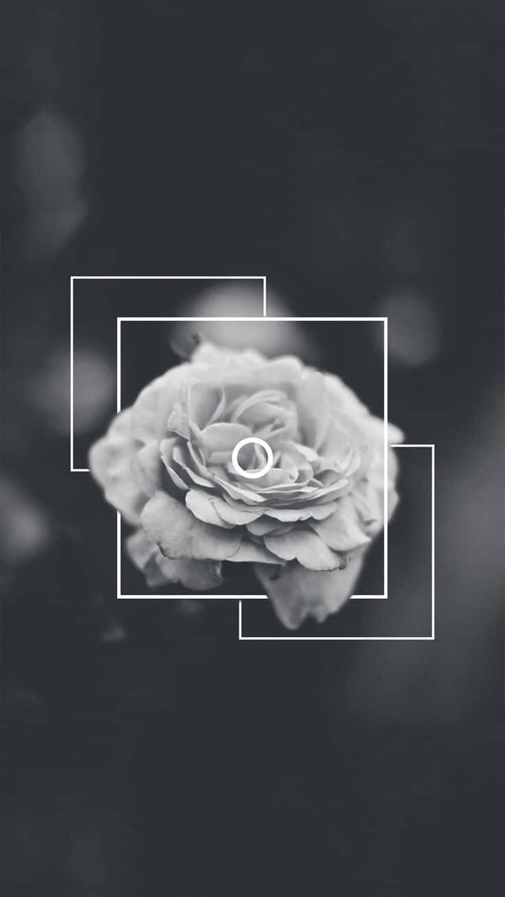 Upgrade With An Aesthetic White And Black Iphone Background