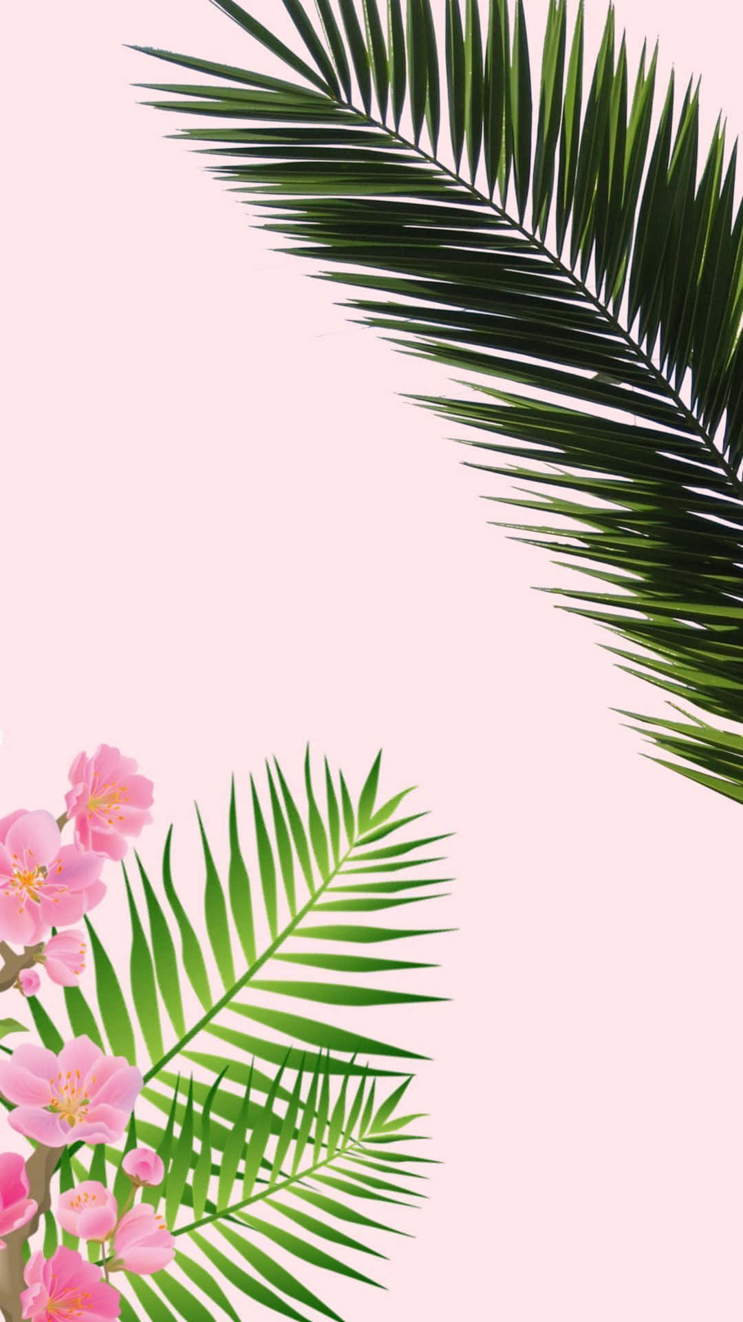 Upgrade Your Style With Elegant Iphone Background