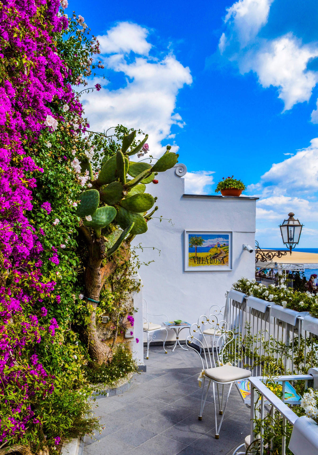 Urban Balcony Garden On A Bright Day Background