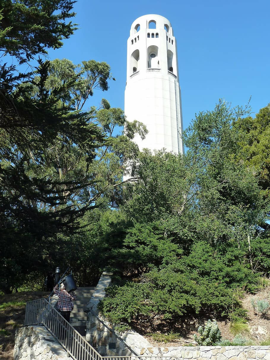 Urban Climber Reaching The Top Of Coit Tower Background