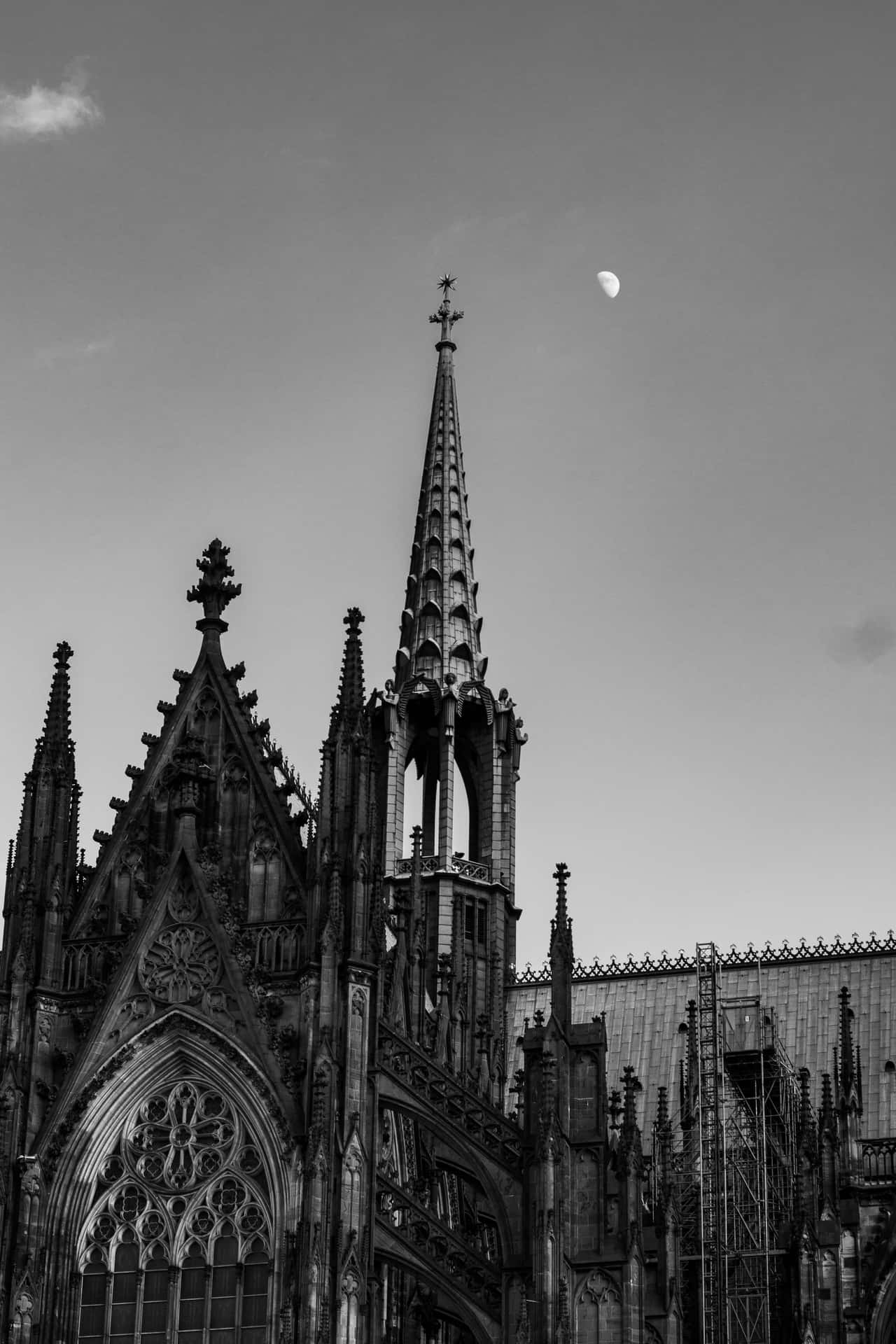 Urban Landscape: The Contrast Between Life In A Black And White City Background