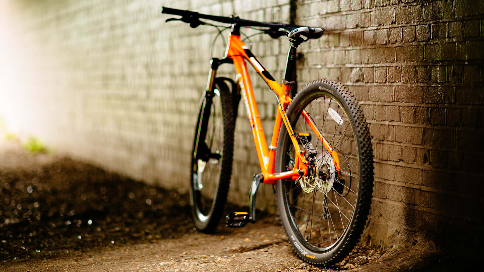 Urban Mountain Bike Resting Against Wall Background
