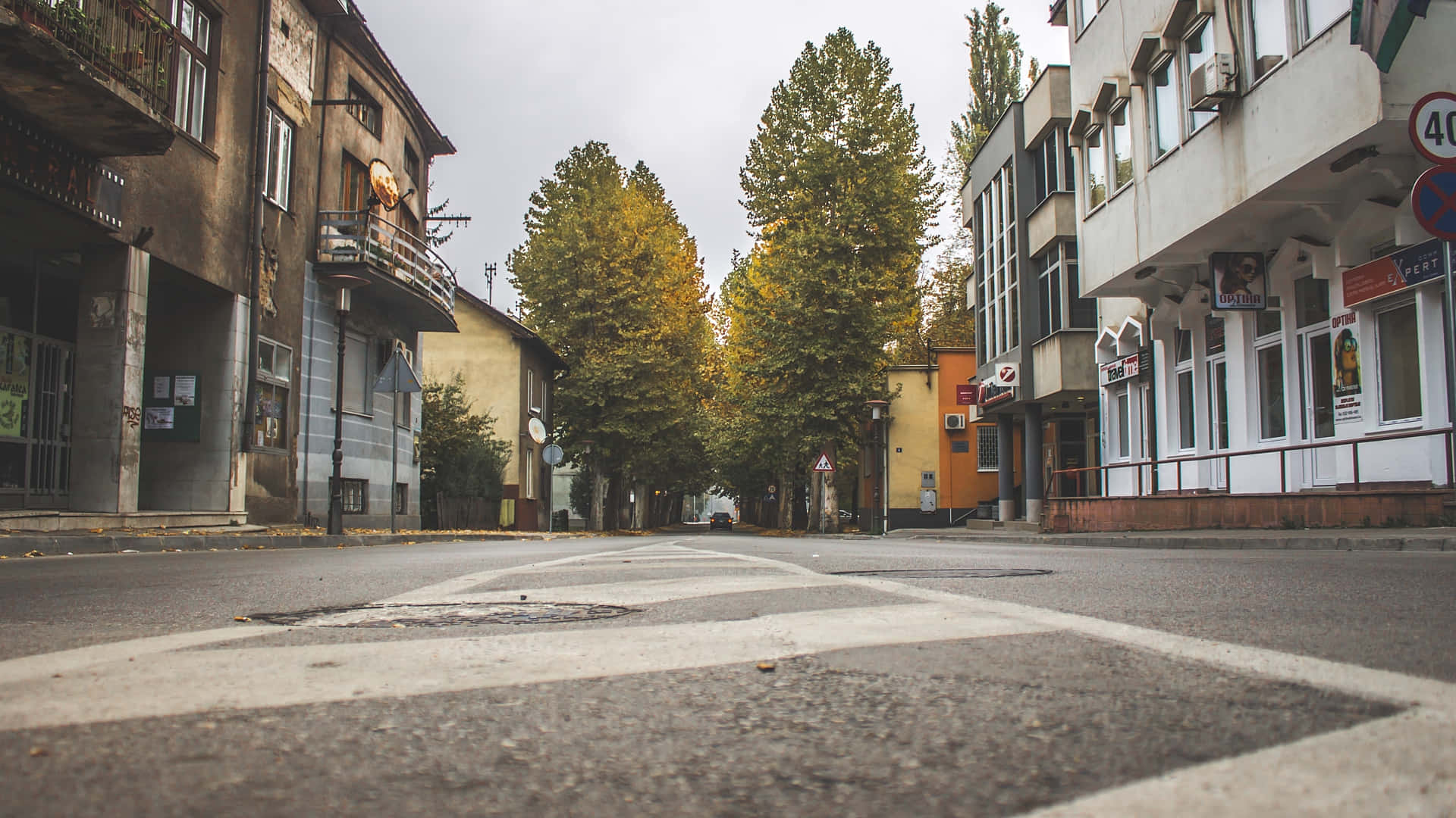 Urban Trees On A Local Street Background