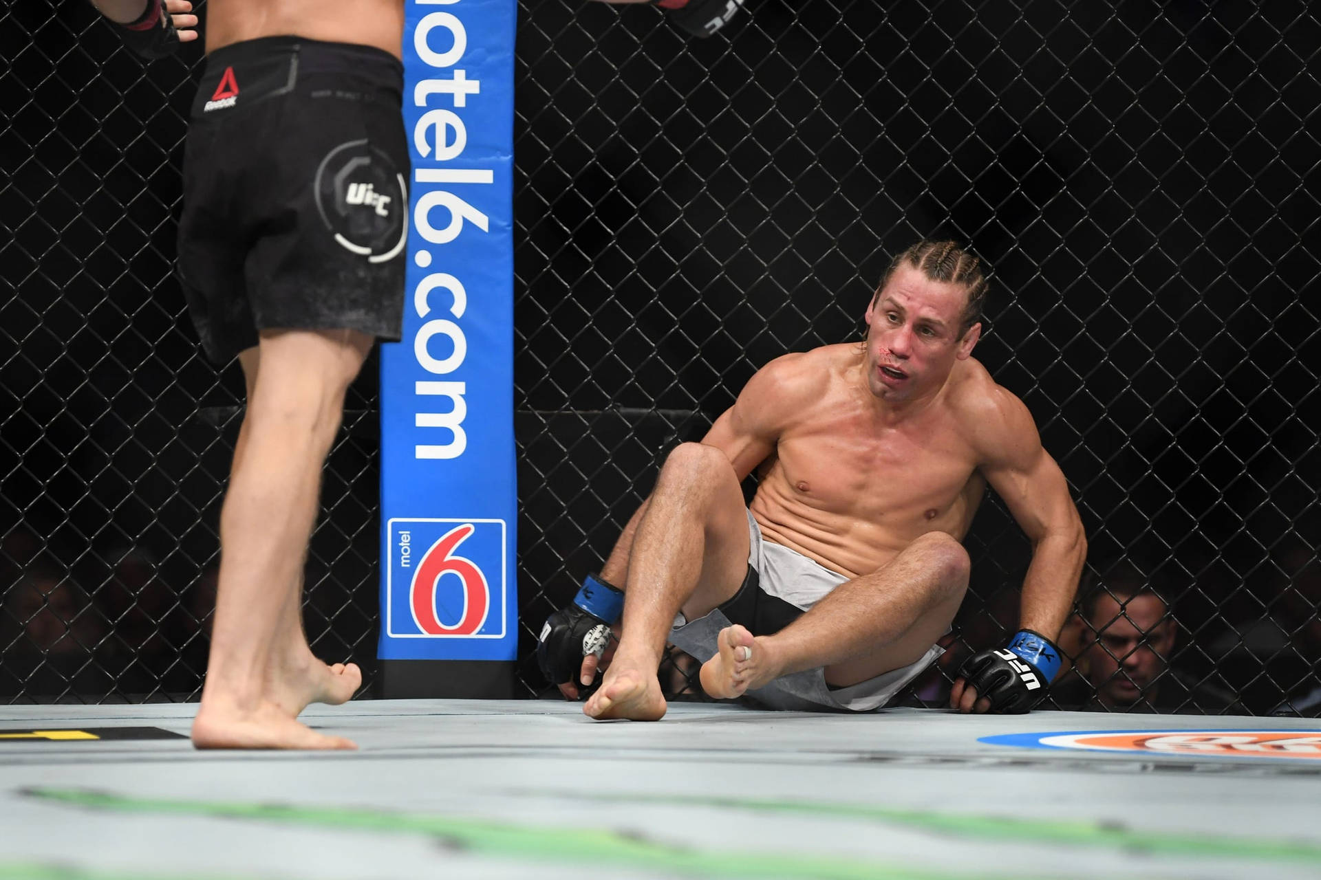 Urijah Faber On The Ground