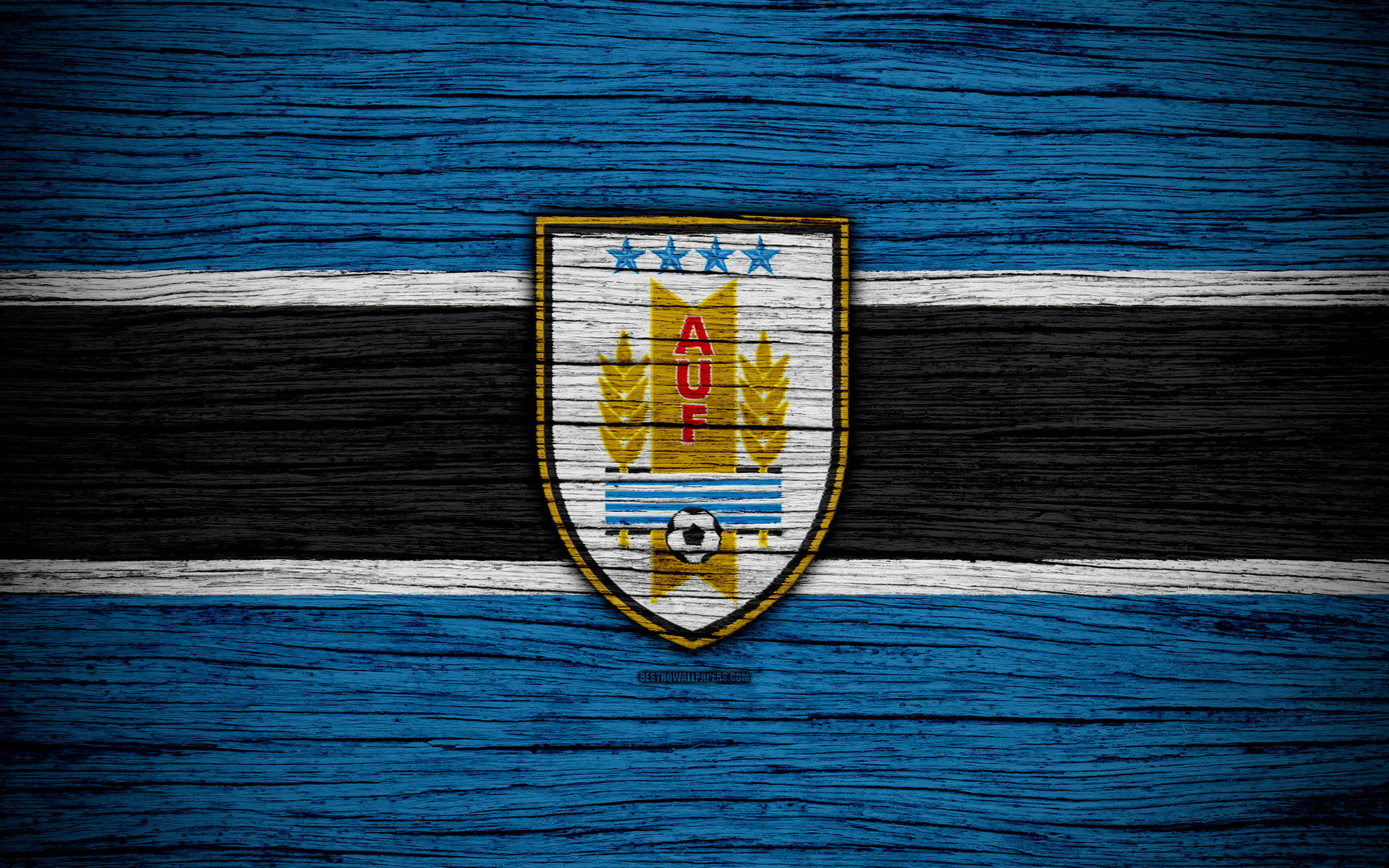 Uruguay Football Logo Wood Art Background