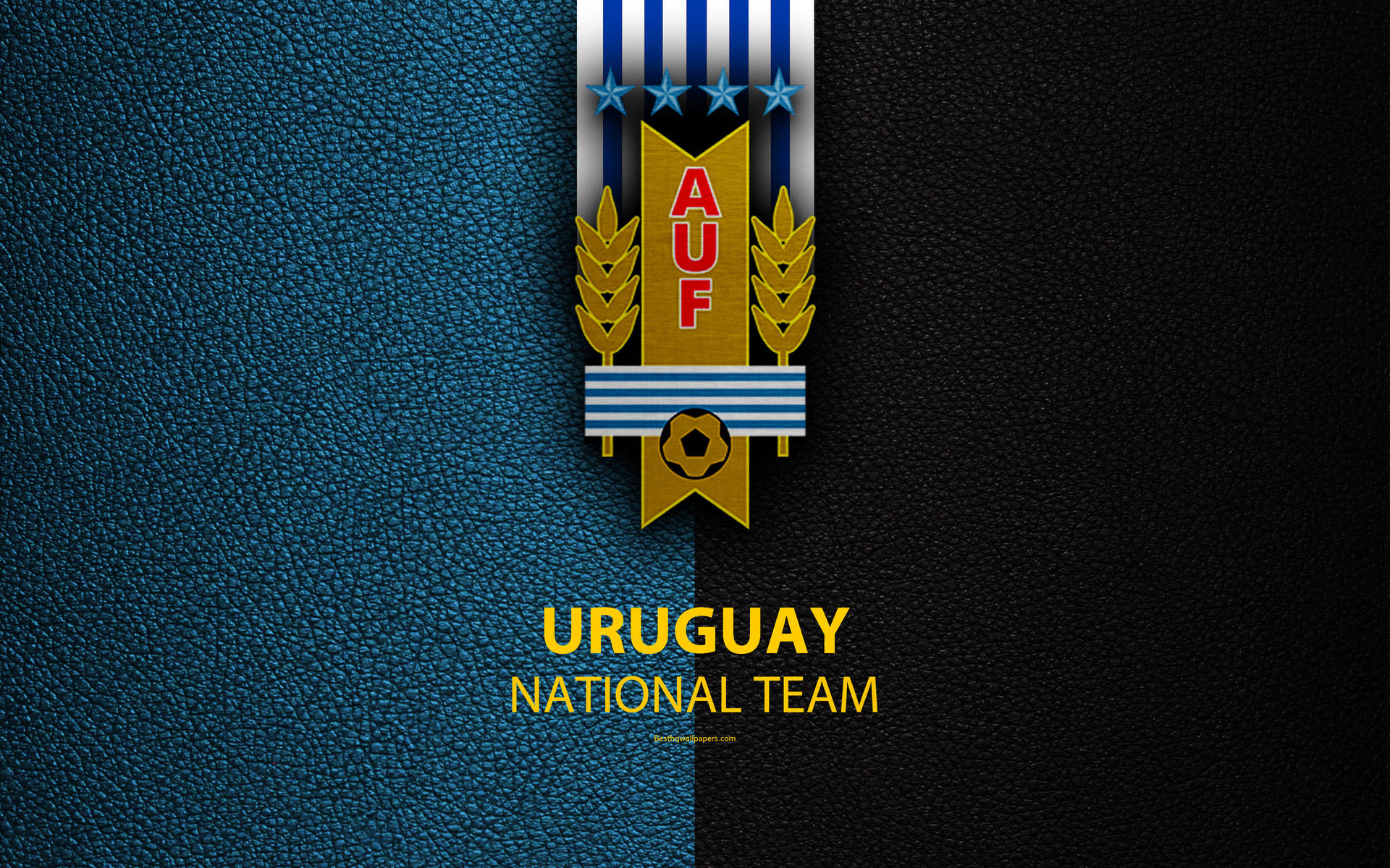 Uruguay National Team Football Logo Background