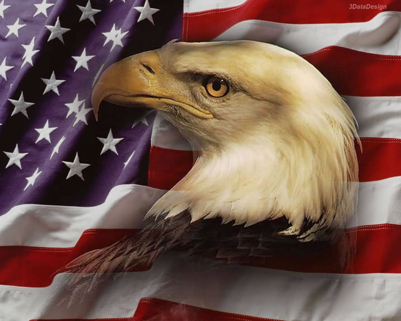 Us Eagle And Usa Flag