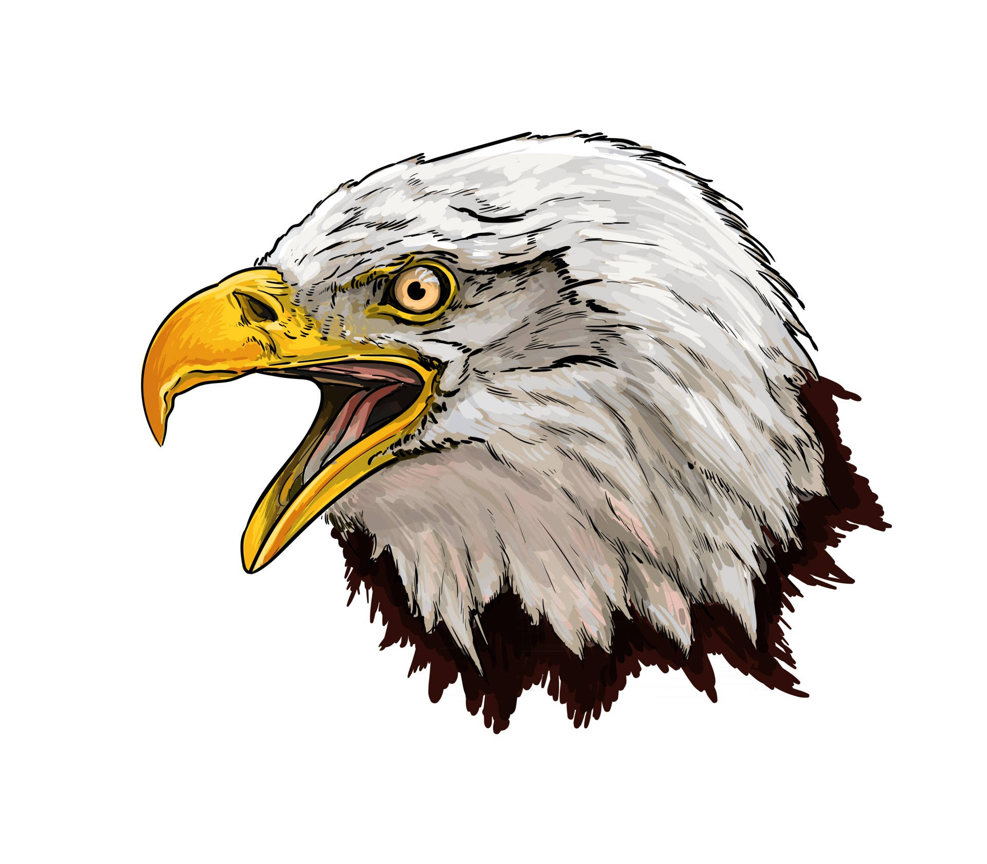 Us Eagle Head Art Background