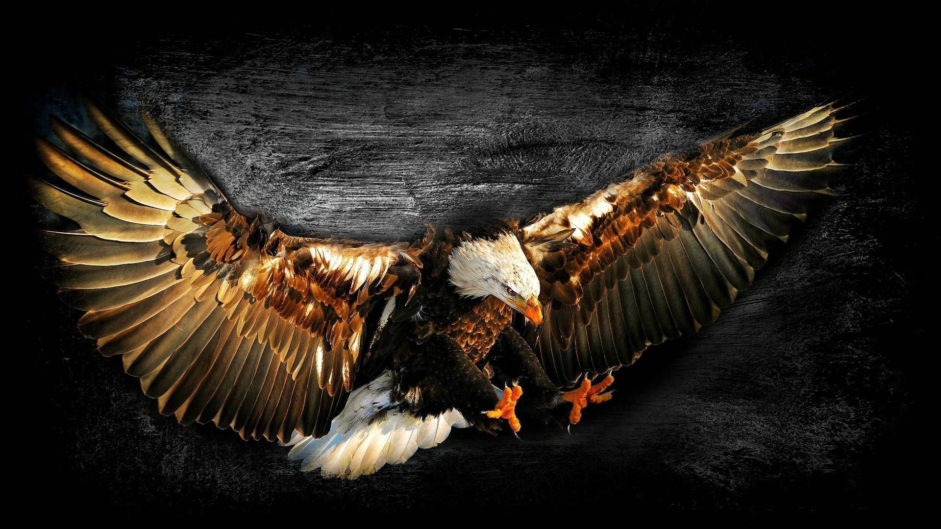 Us Eagle In Flight Background