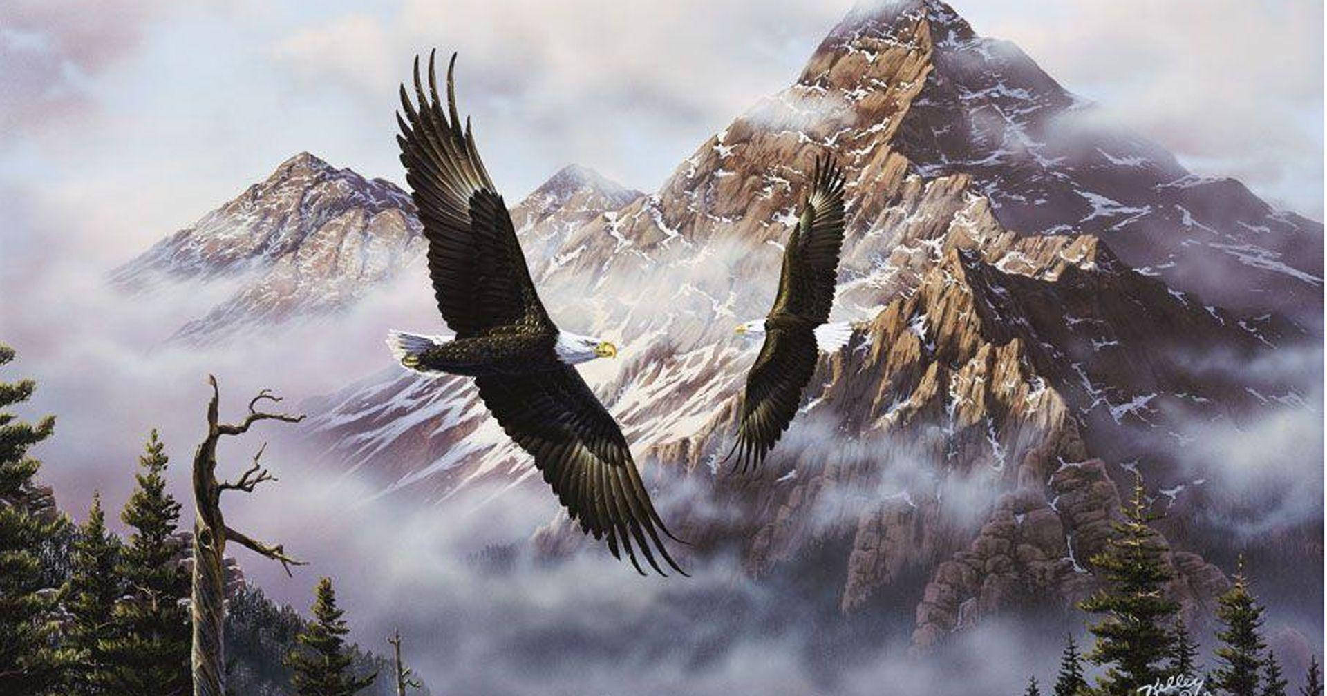 Us Eagle Over Mountains Background