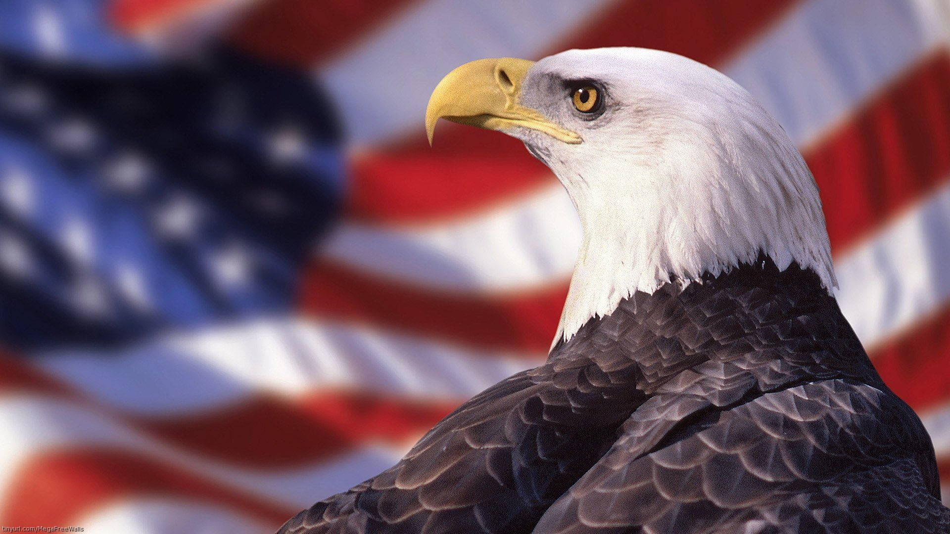 Us Eagle Symbol Background
