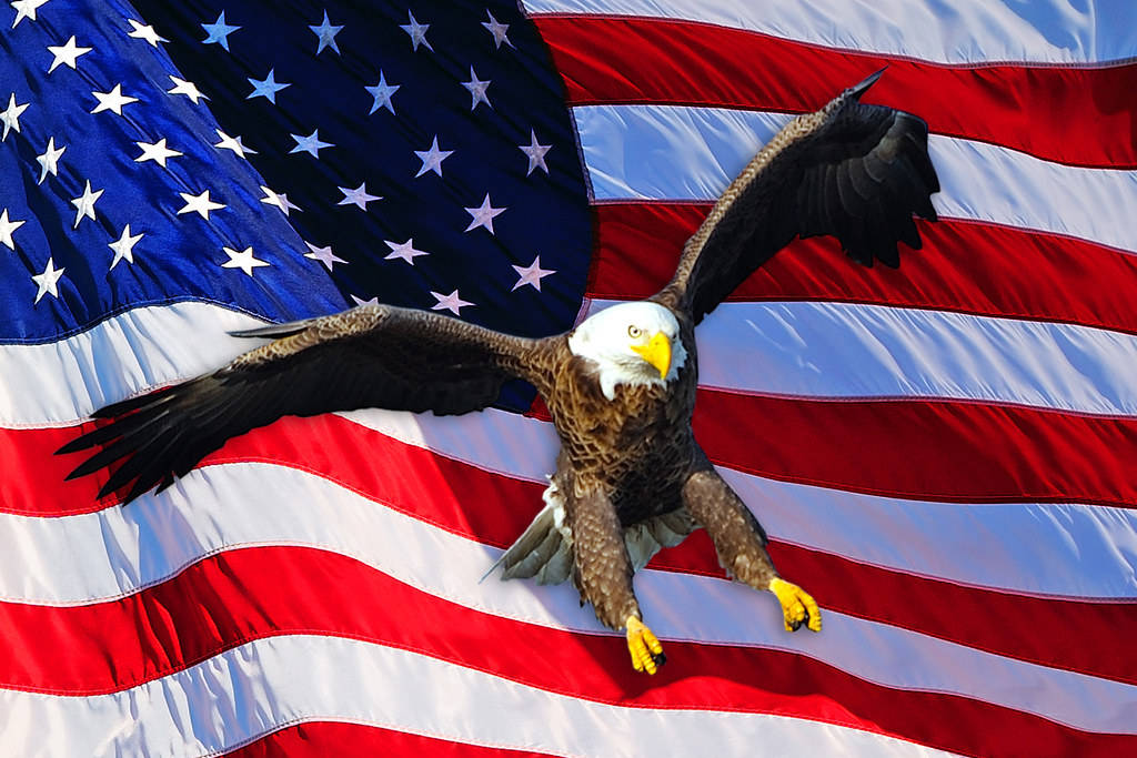 Us Eagle X American Flag Background