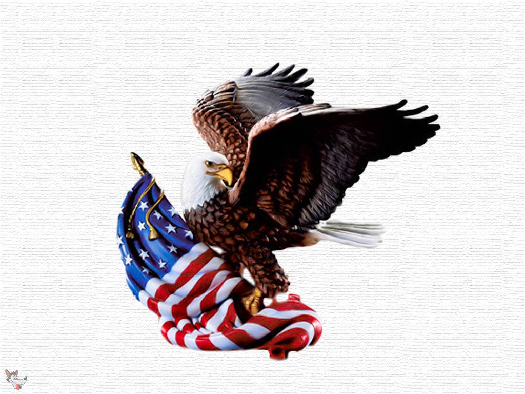 Usa American Eagle