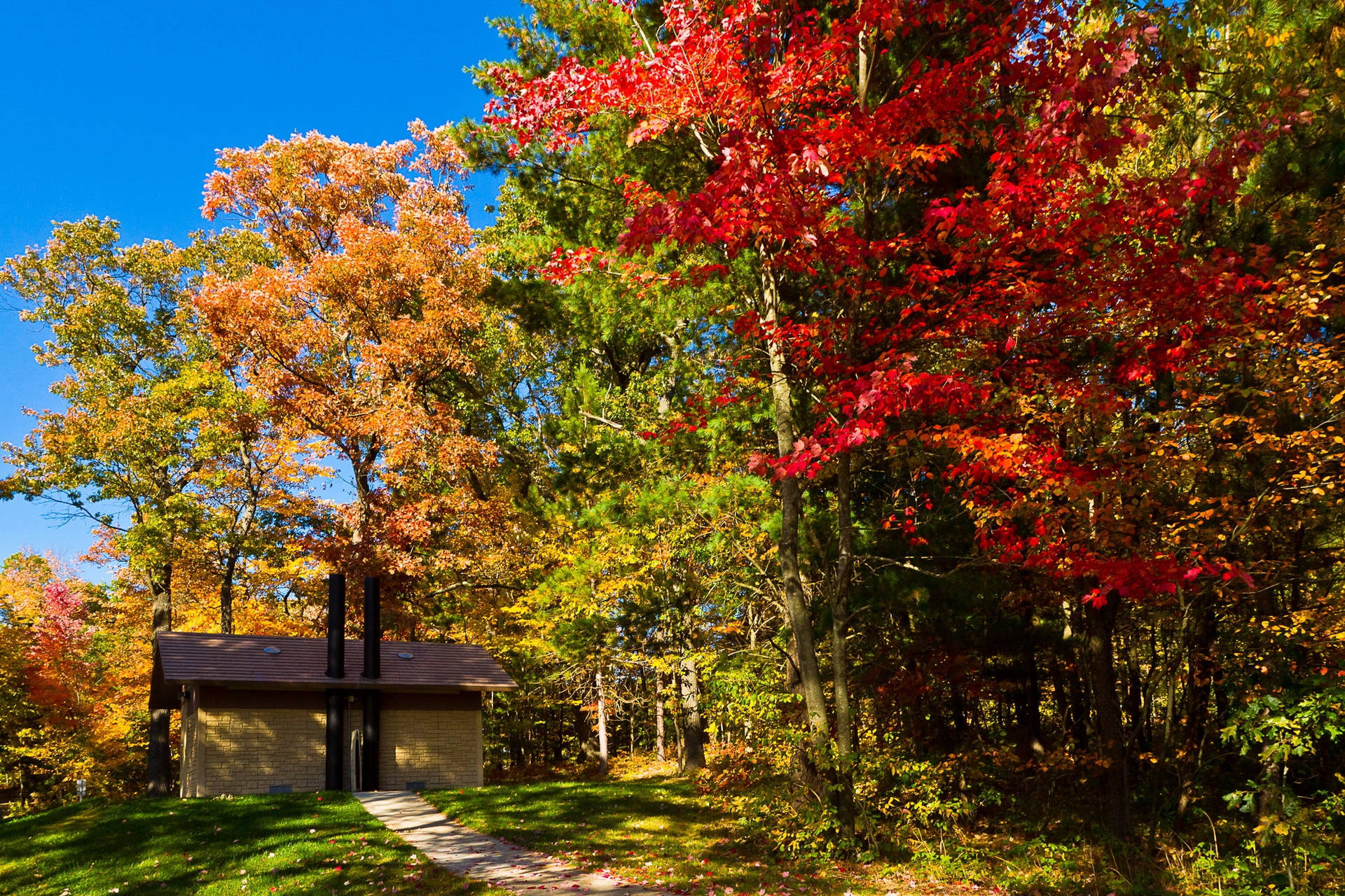 Usa Autumn Nature Background