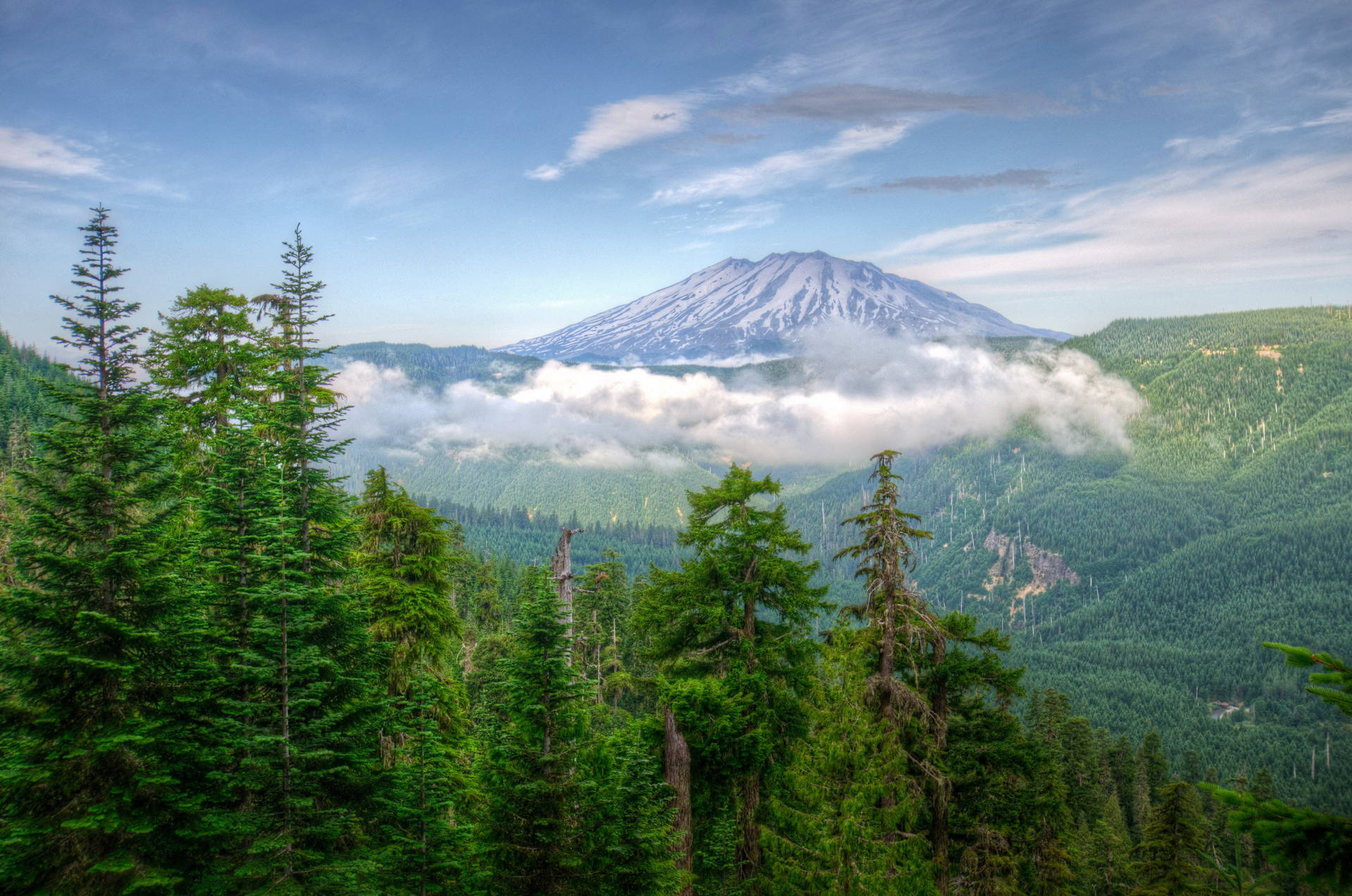 Usa Washington Mountain Background