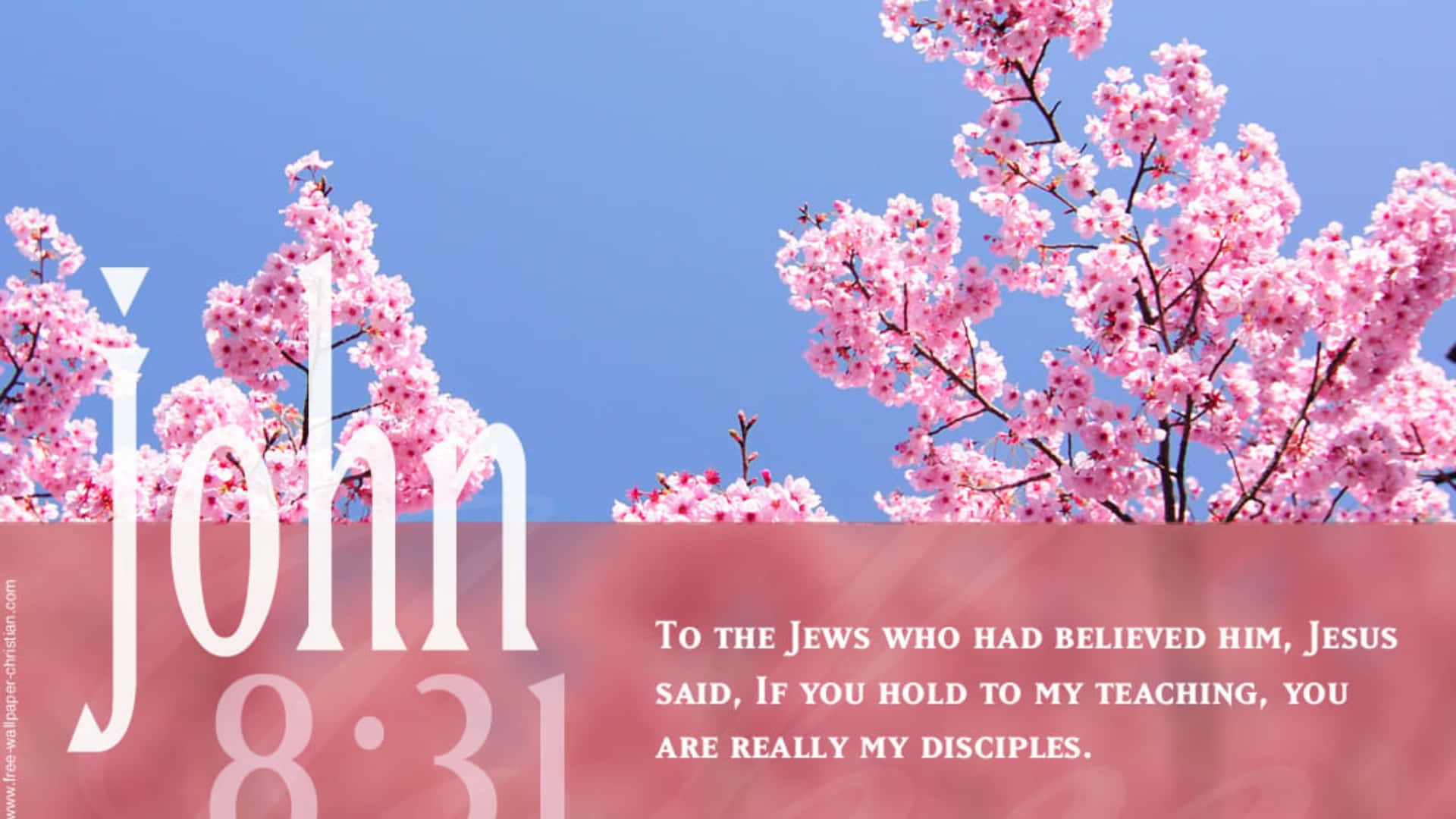 Use The Power Of The Word Of God To Guide Your Life Background