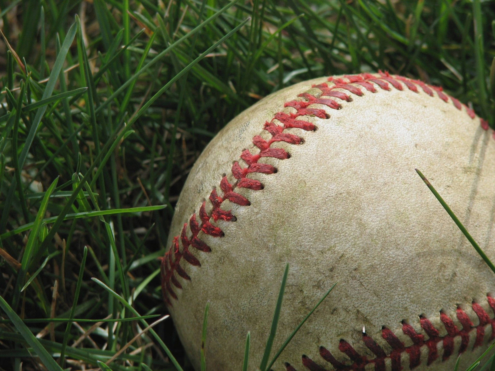 Used Dirty Baseball On Grass Background