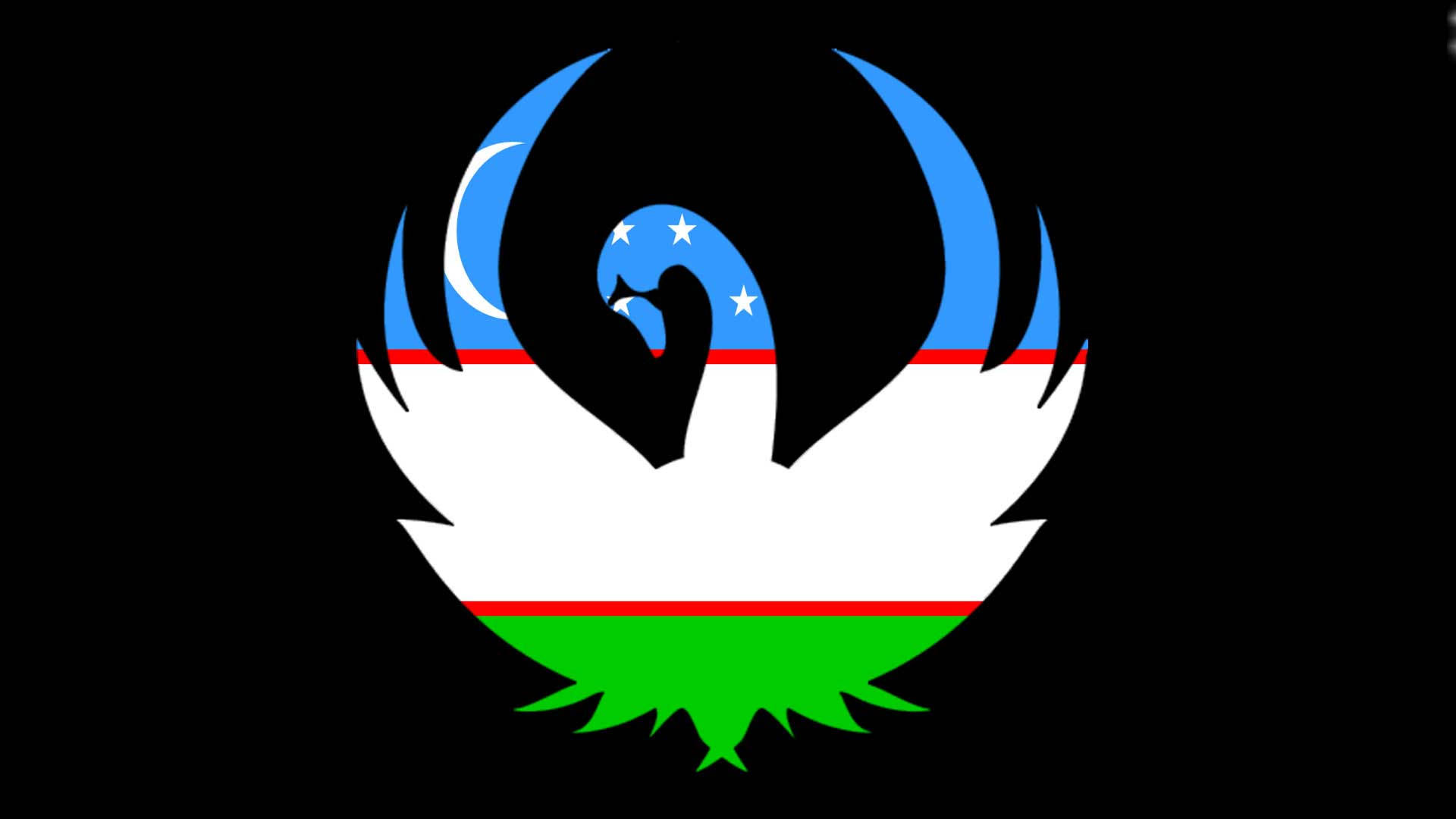 Uzbekistan Flag In Swan's Outline Background