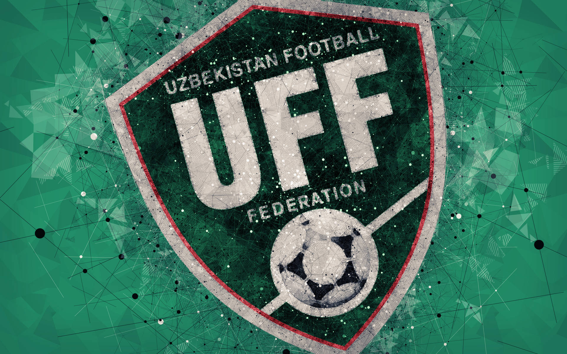 Uzbekistan Football Federation Geometric Logo