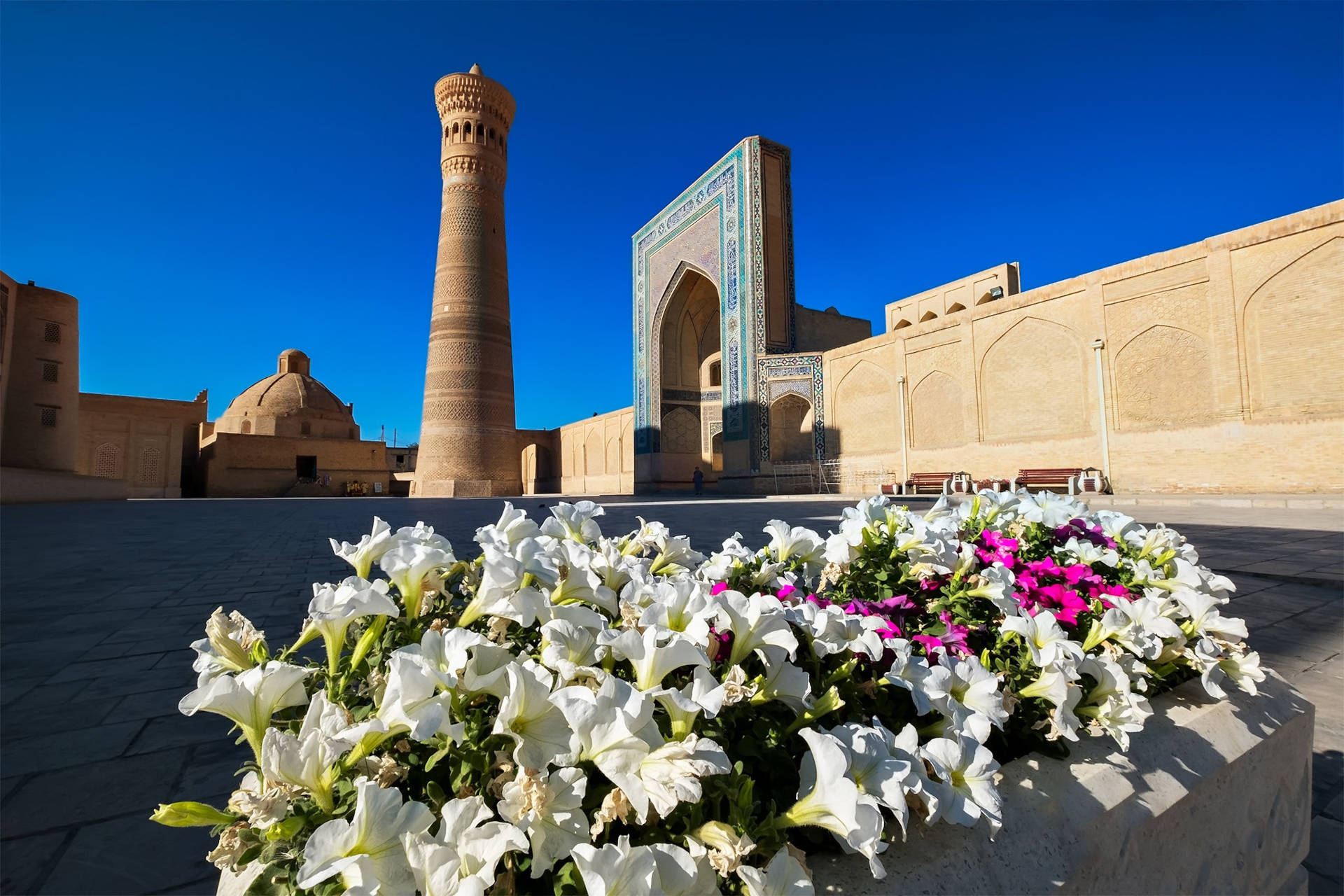 Uzbekistan Samarkand Flower Garden Background