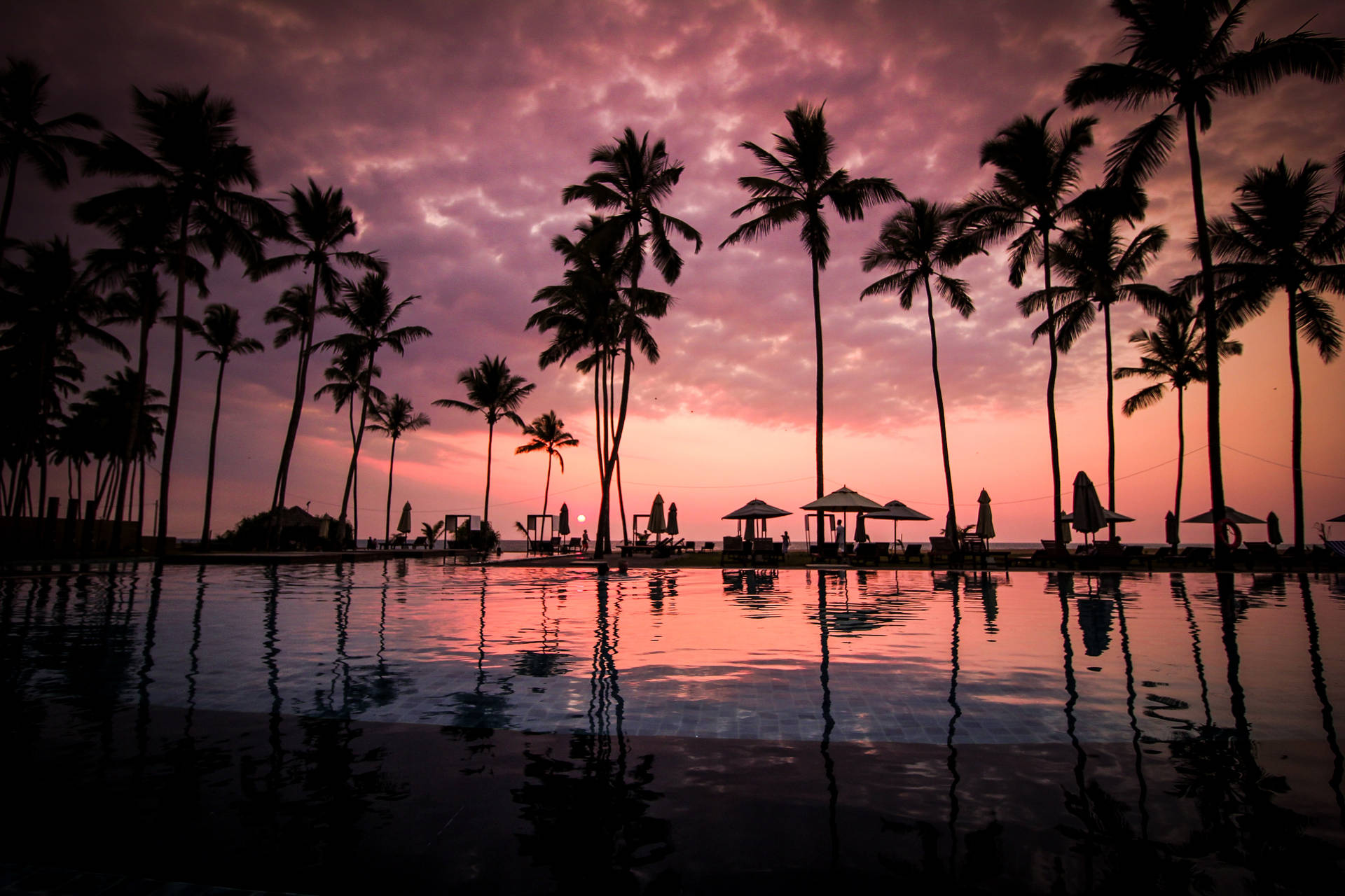 Vacation Coconut Trees Sunset Background