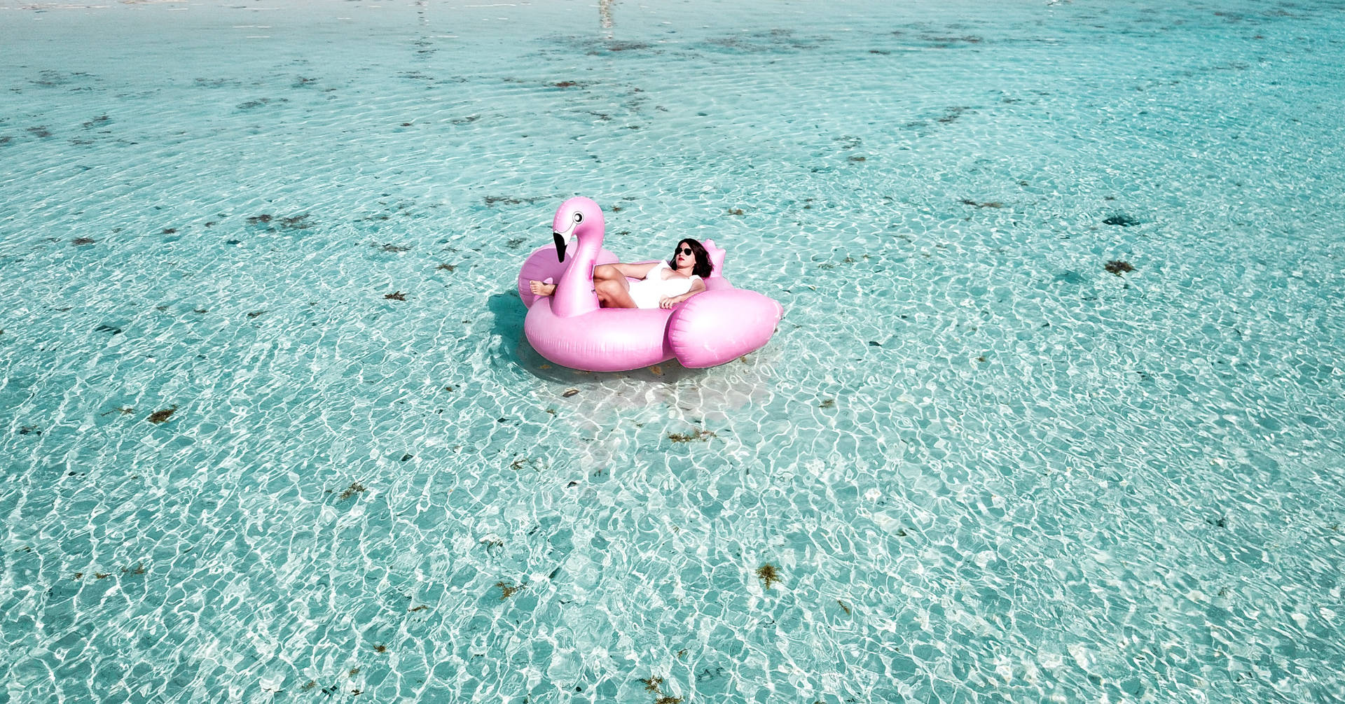 Vacation Flamingo Floatie Background