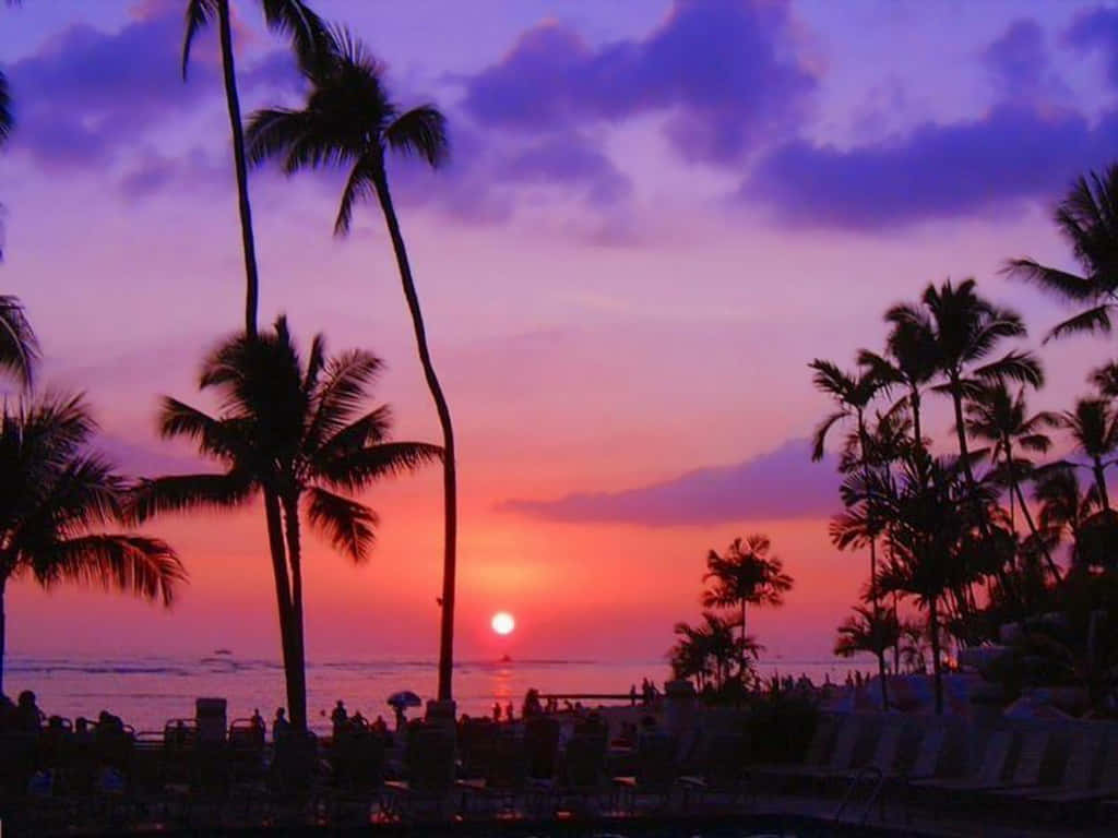 Vacation In Paradise Background