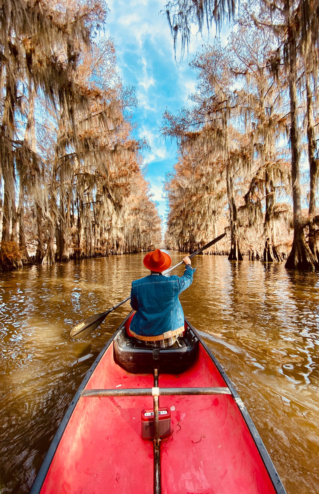 Vacation River Kayaking Background