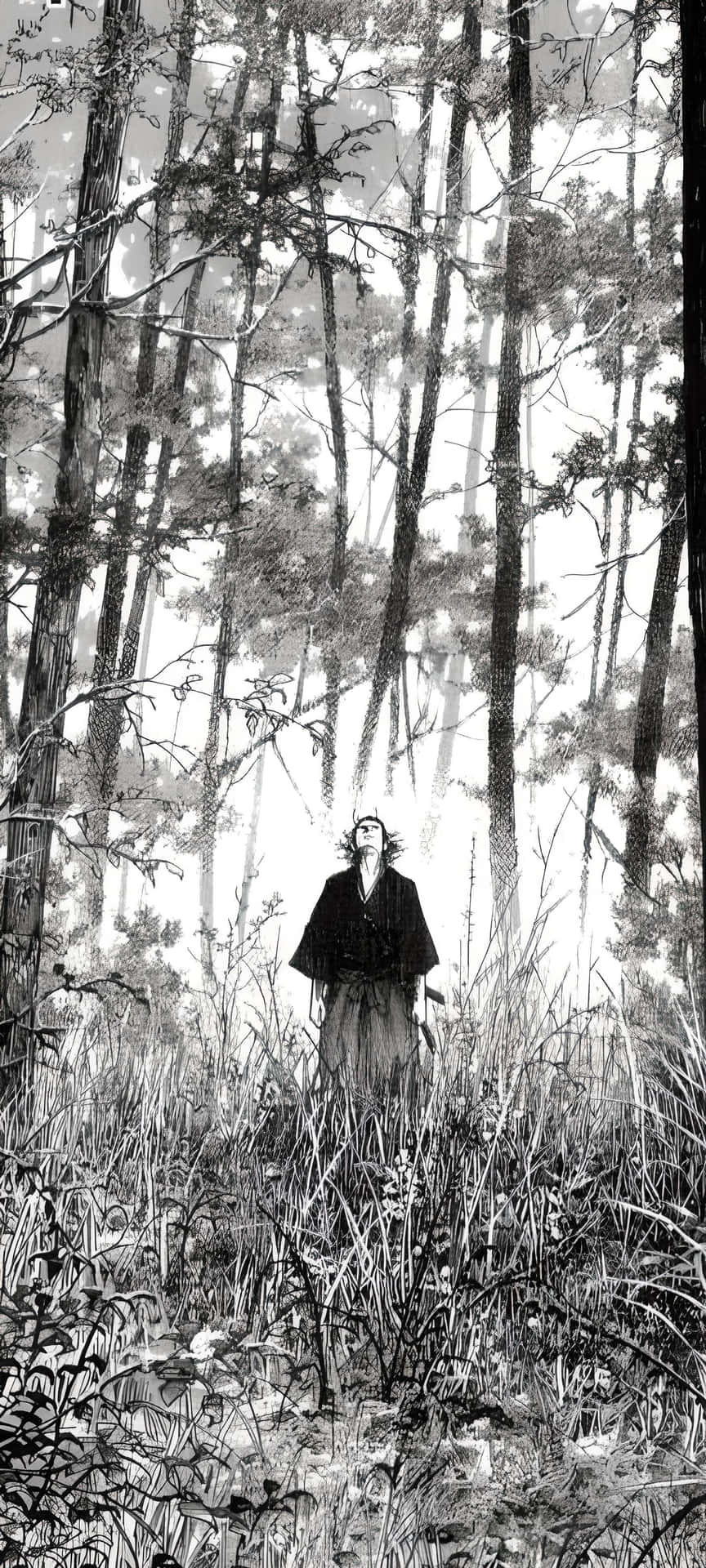 Vagabond Manga Forest Contemplation Background