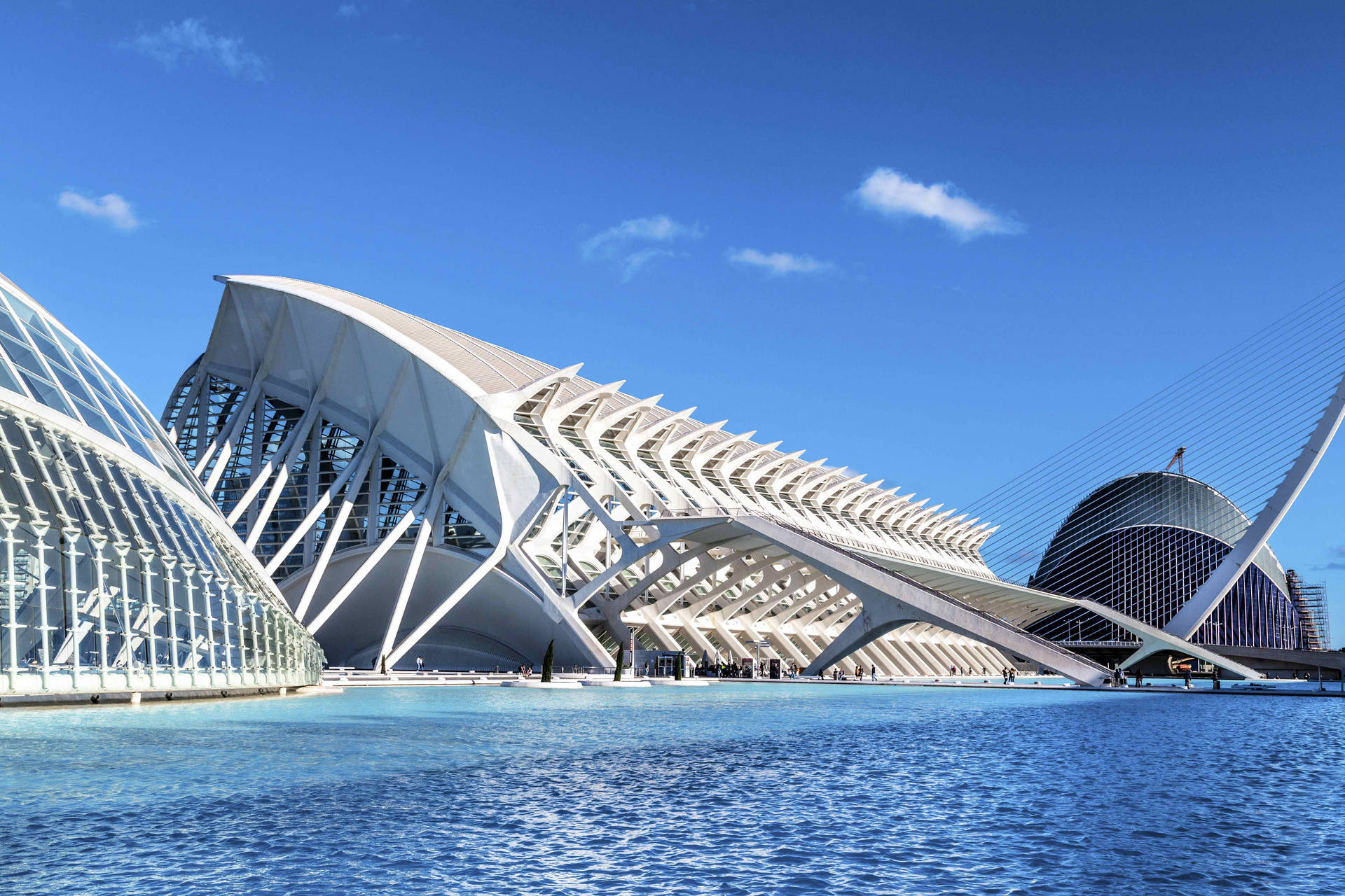 Valencia Palau De Les Arts