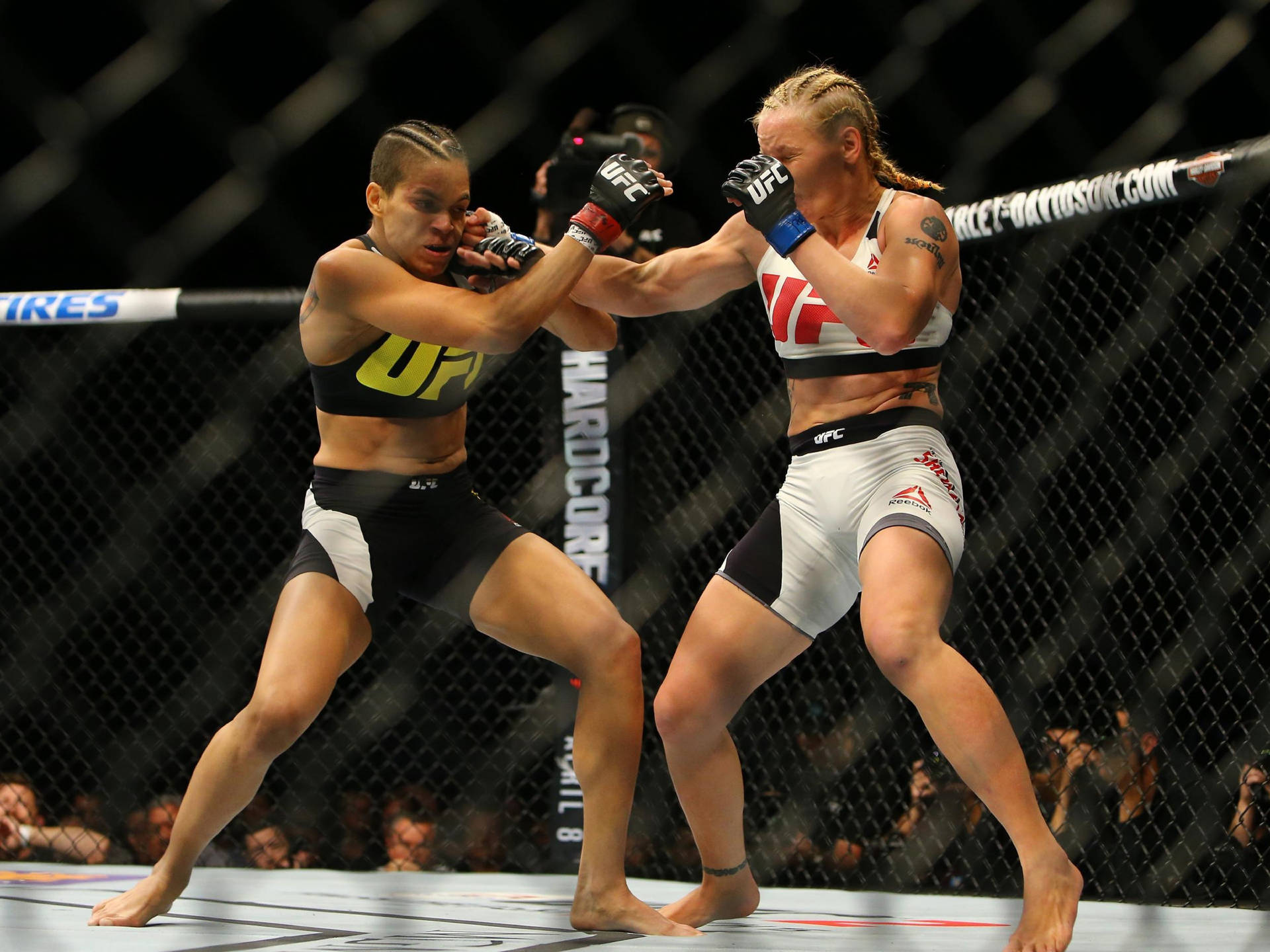 Valentina Shevchenko Amanda Nunes Ufc 196 Background