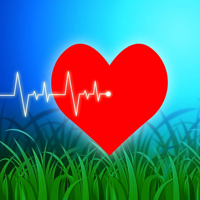 Valentine Heartbeat Pattern Background