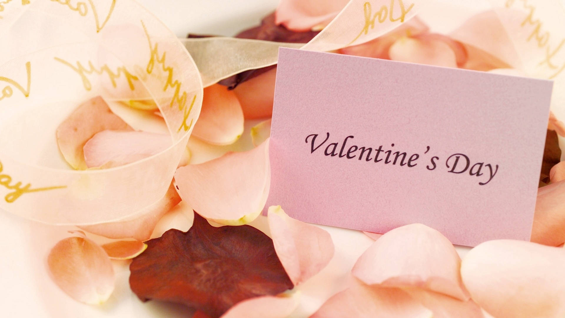 Valentine's Card With Petals Background