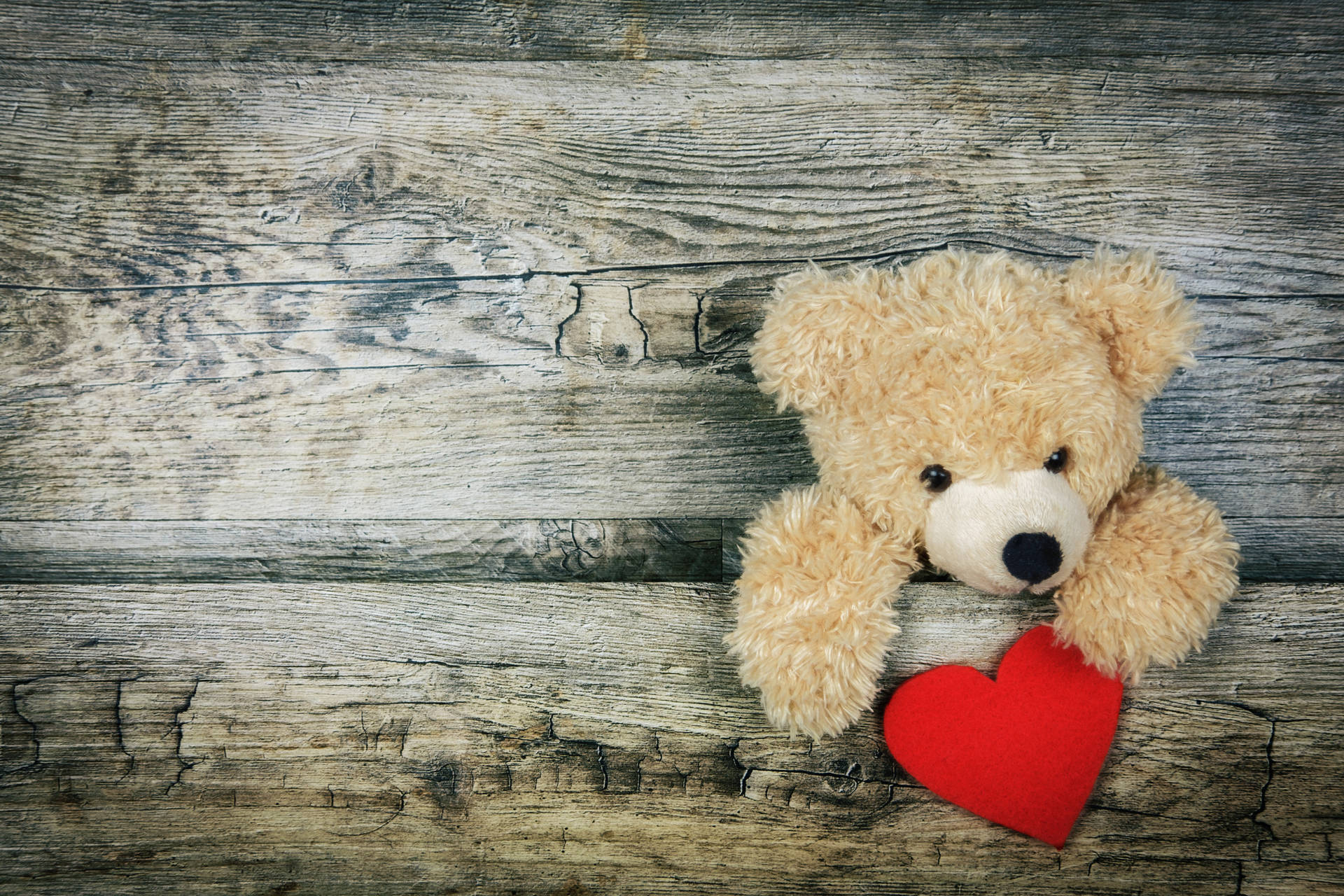 Valentine's Day Teddy Bear With Heart Background