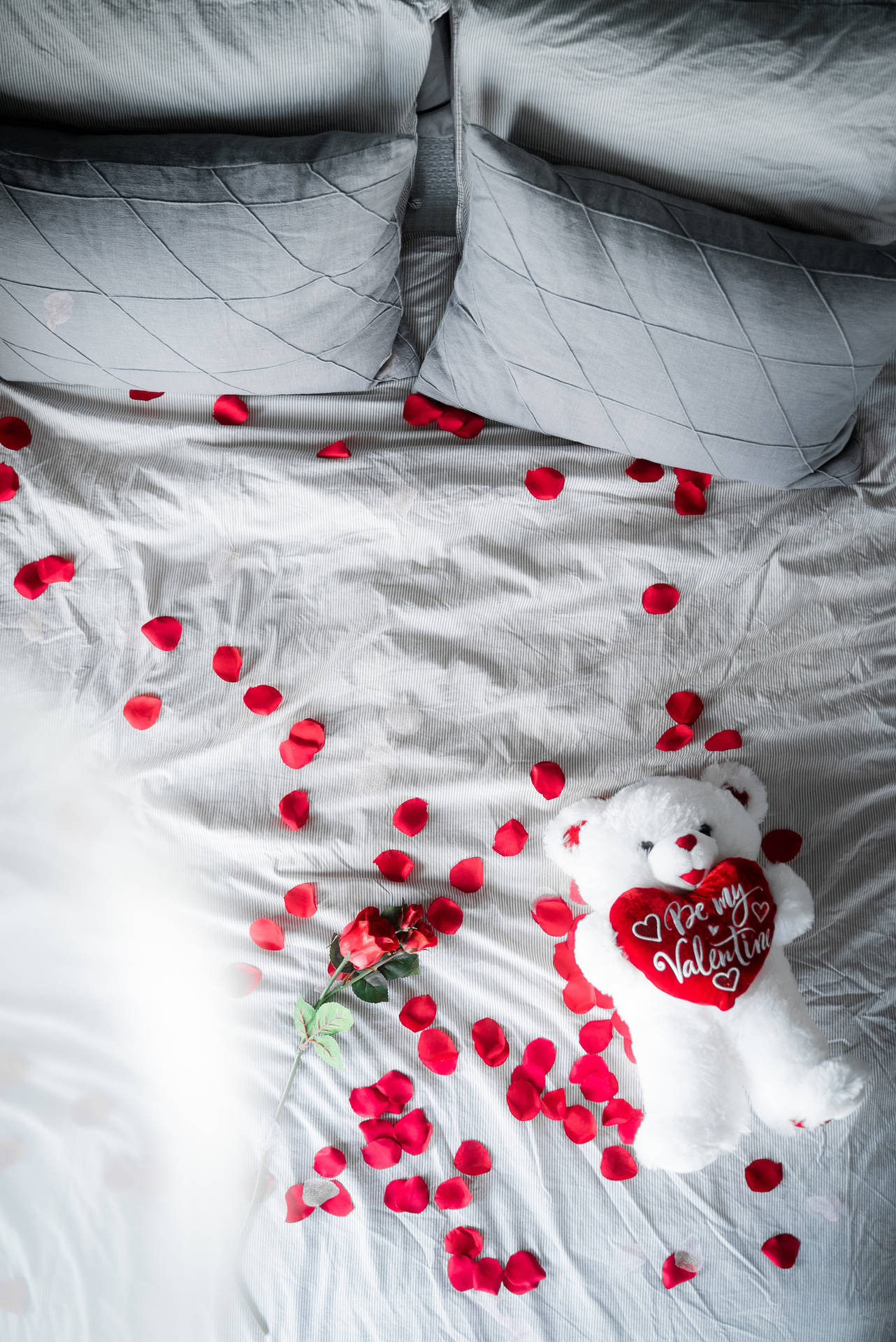 Valentines Bed Of Roses Background