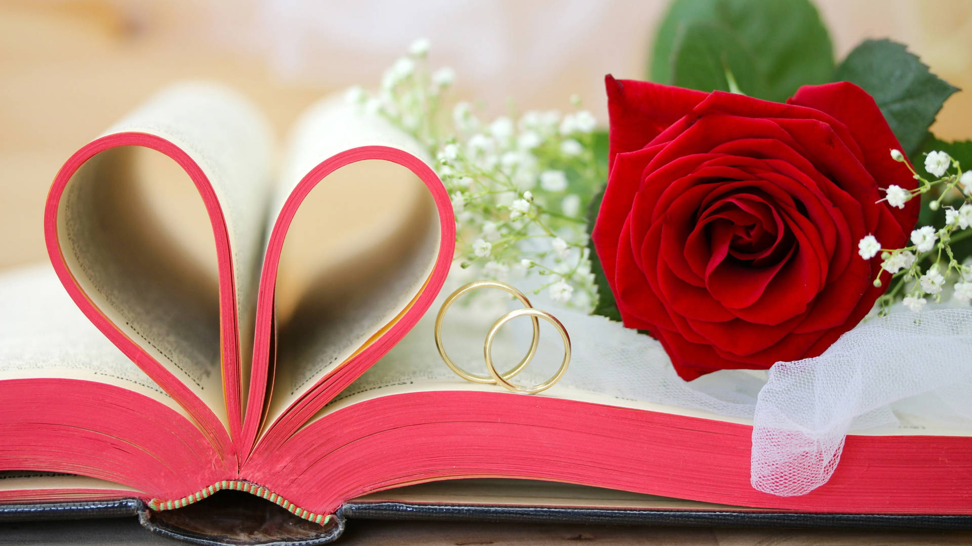 Valentines Day Wedding Bible
