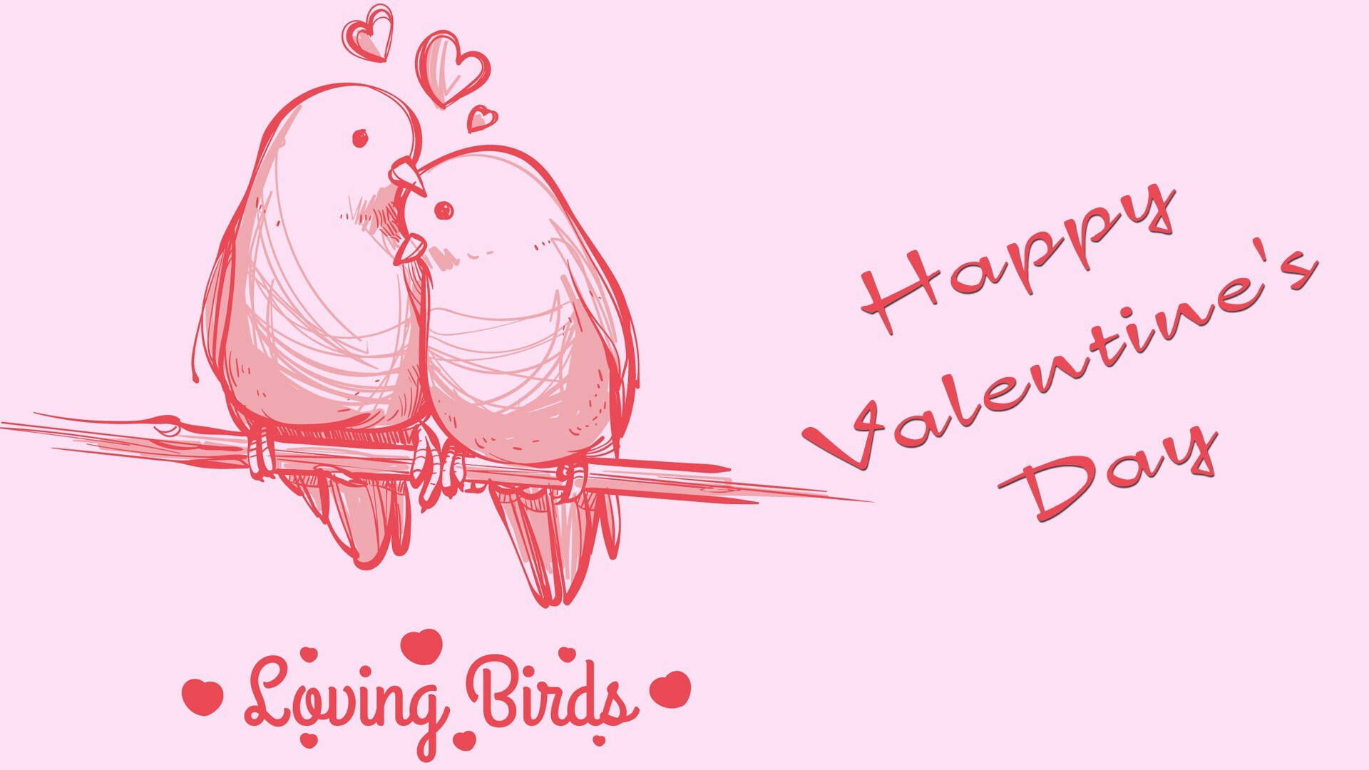 Valentines Pink Love Birds
