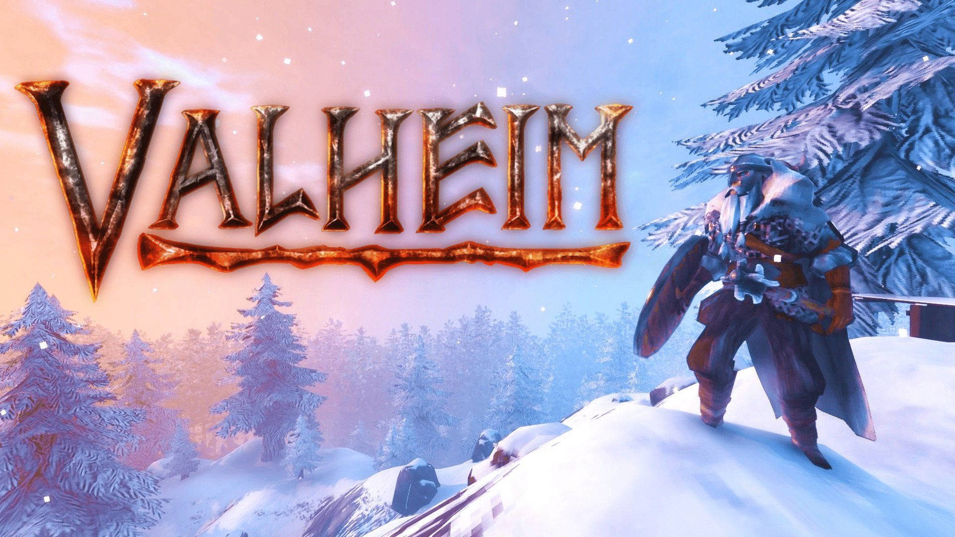 Valheim Game Winter Poster Background