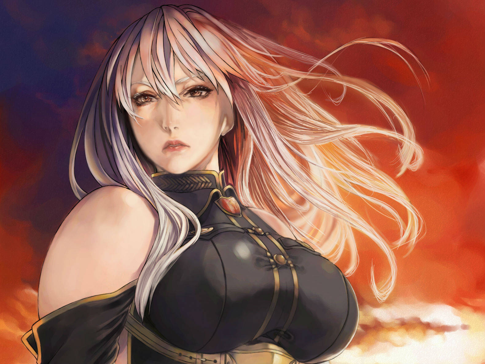 Valkyria Chronicles General Selvaria Background