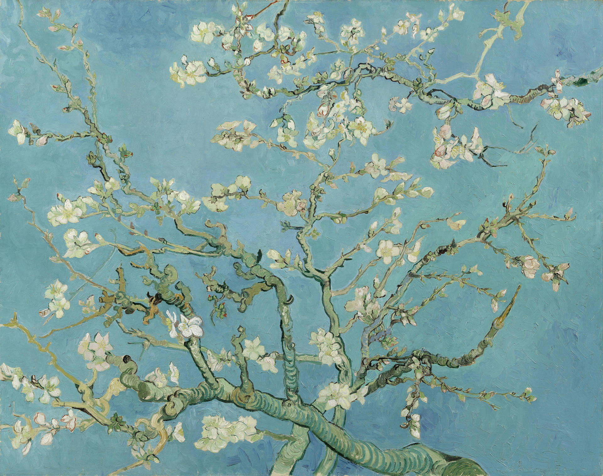 Van Gogh Almond Blossom Background