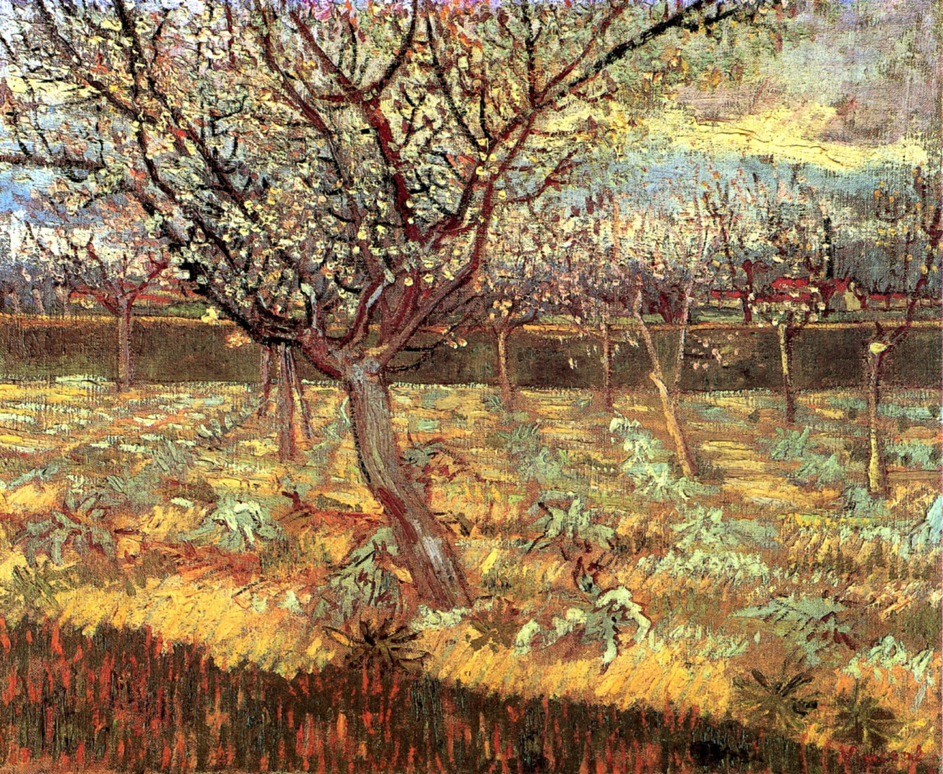 Van Gogh Apricot Trees In Blossom Background